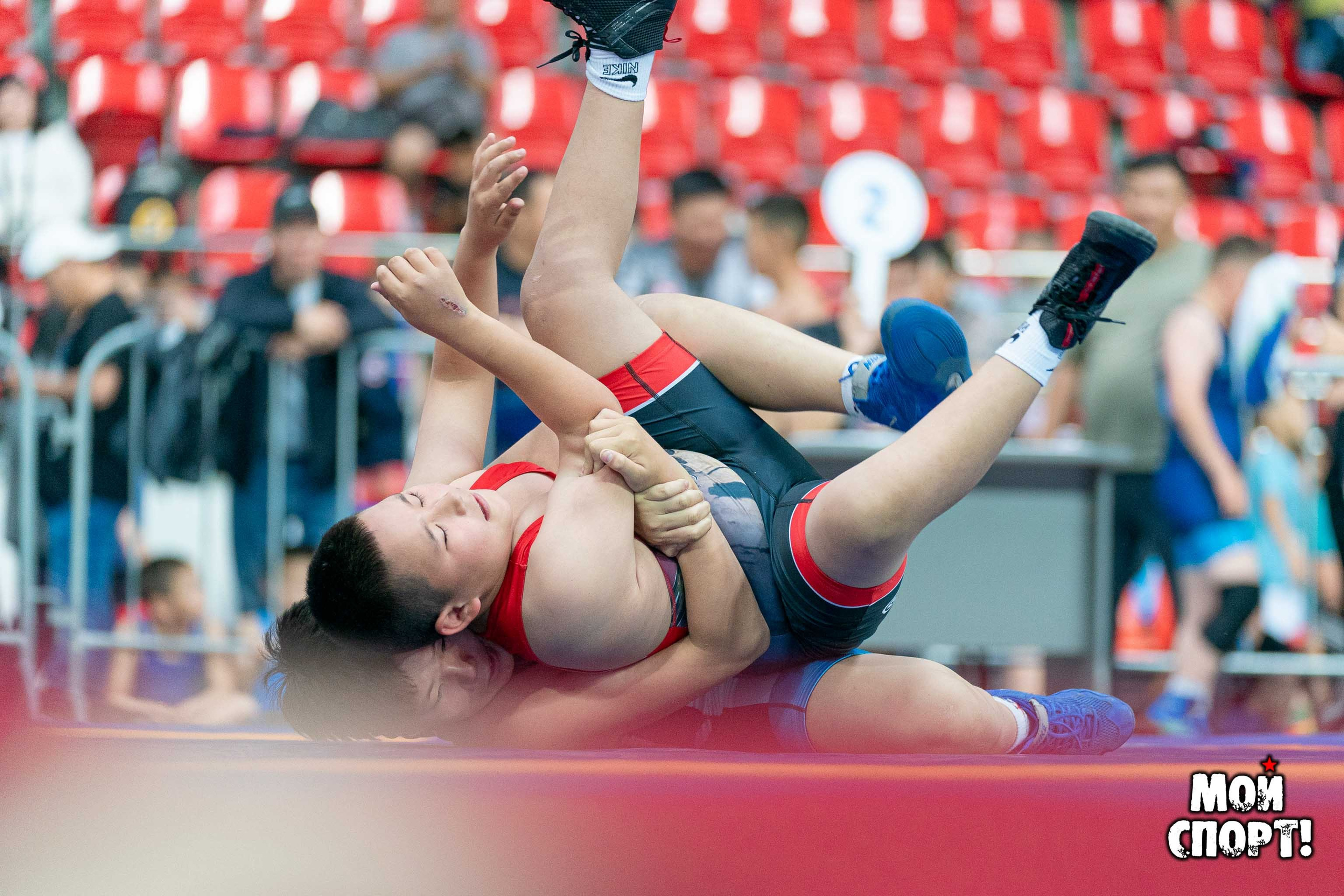 Международный, всероссийский и республиканский турниры по вольной борьбе среди юношей в честь П. П. Пинигина. Студия «Мой Спорт!» — все о спорте в Якутии