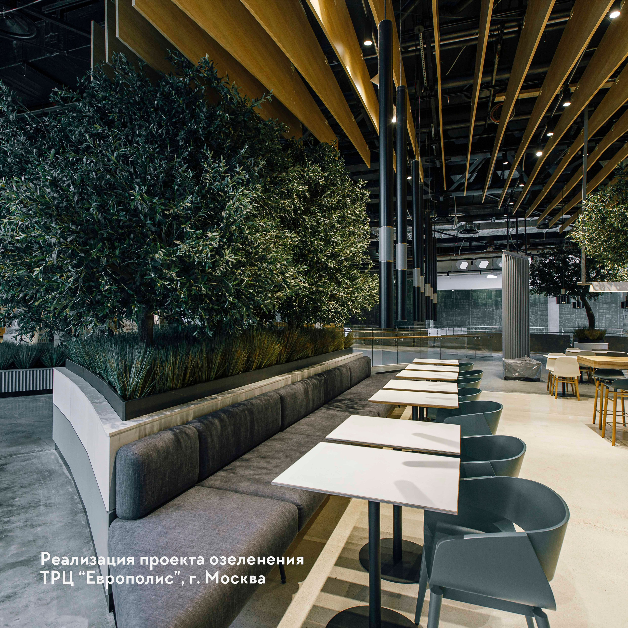 Графический дизайн и ретушь фотографий, Москва