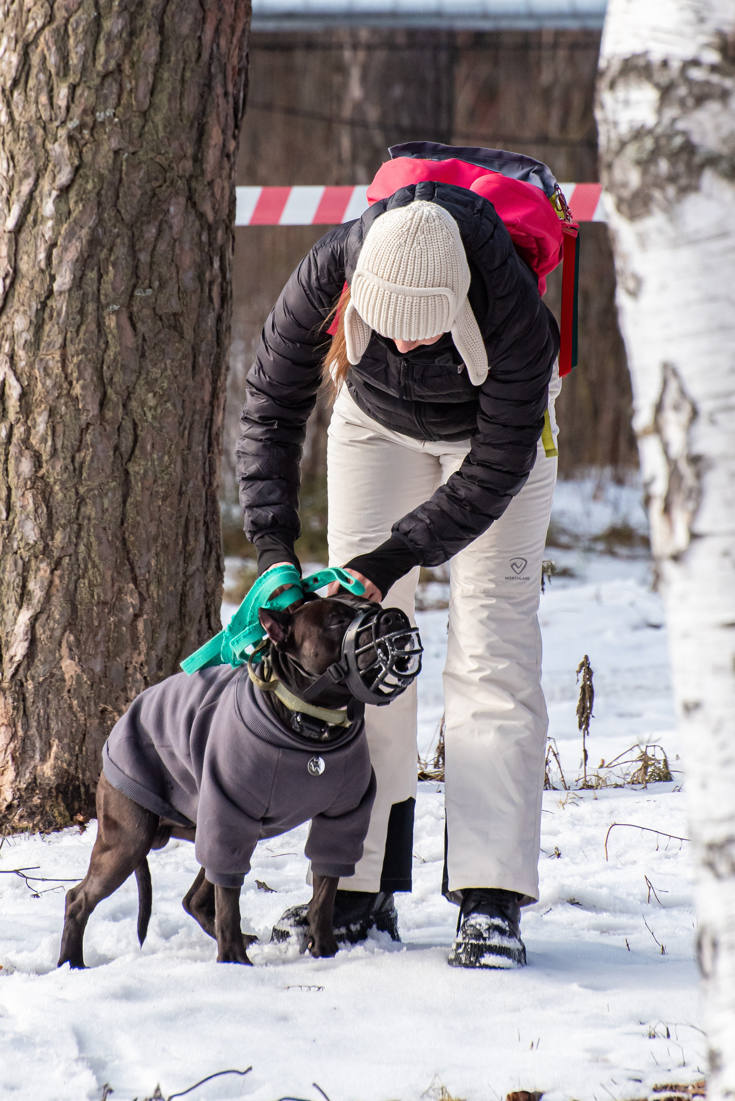Фотосъёмка с собаками в Кинологическом лагере. Фотограф Макс Огурцов в Нижнем Новгороде