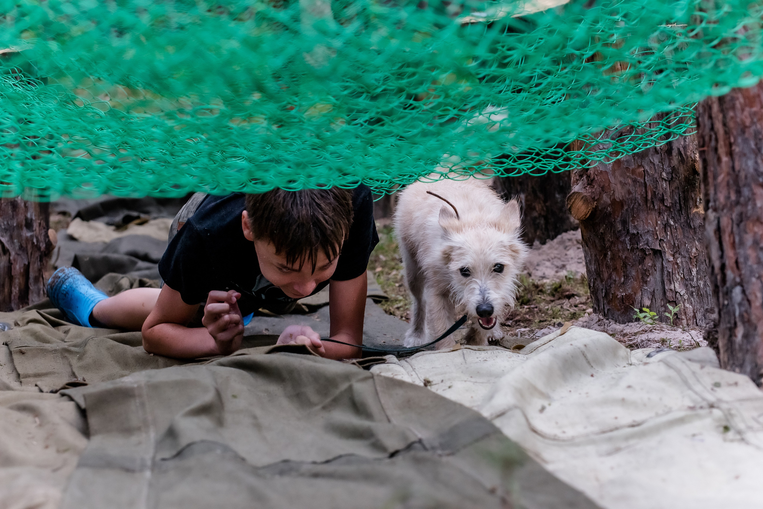 Хвостатые каникулы Детский кинологический лагерь. Фотограф Макс Огурцов в Нижнем Новгороде