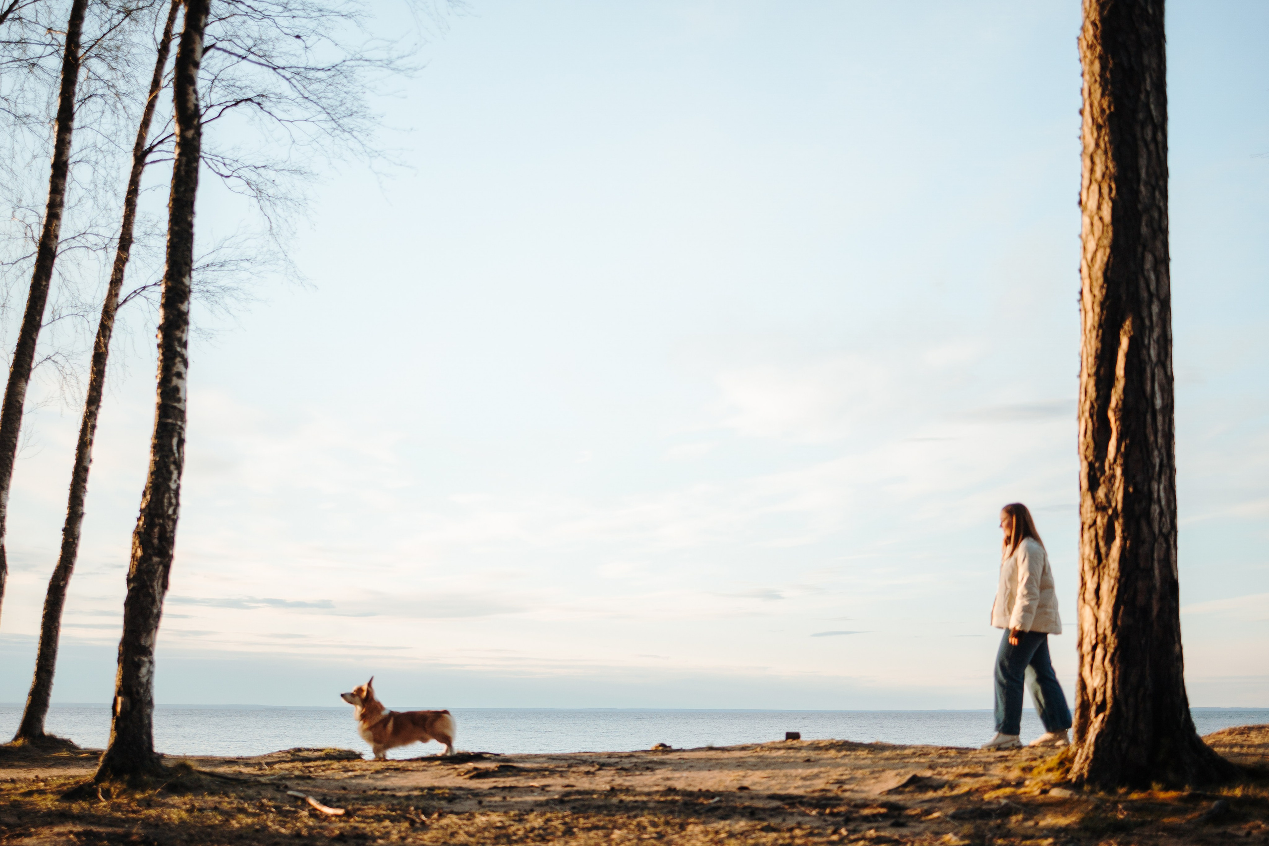 Найт и его семья. Фотограф — Анималист | Санкт-Петербург