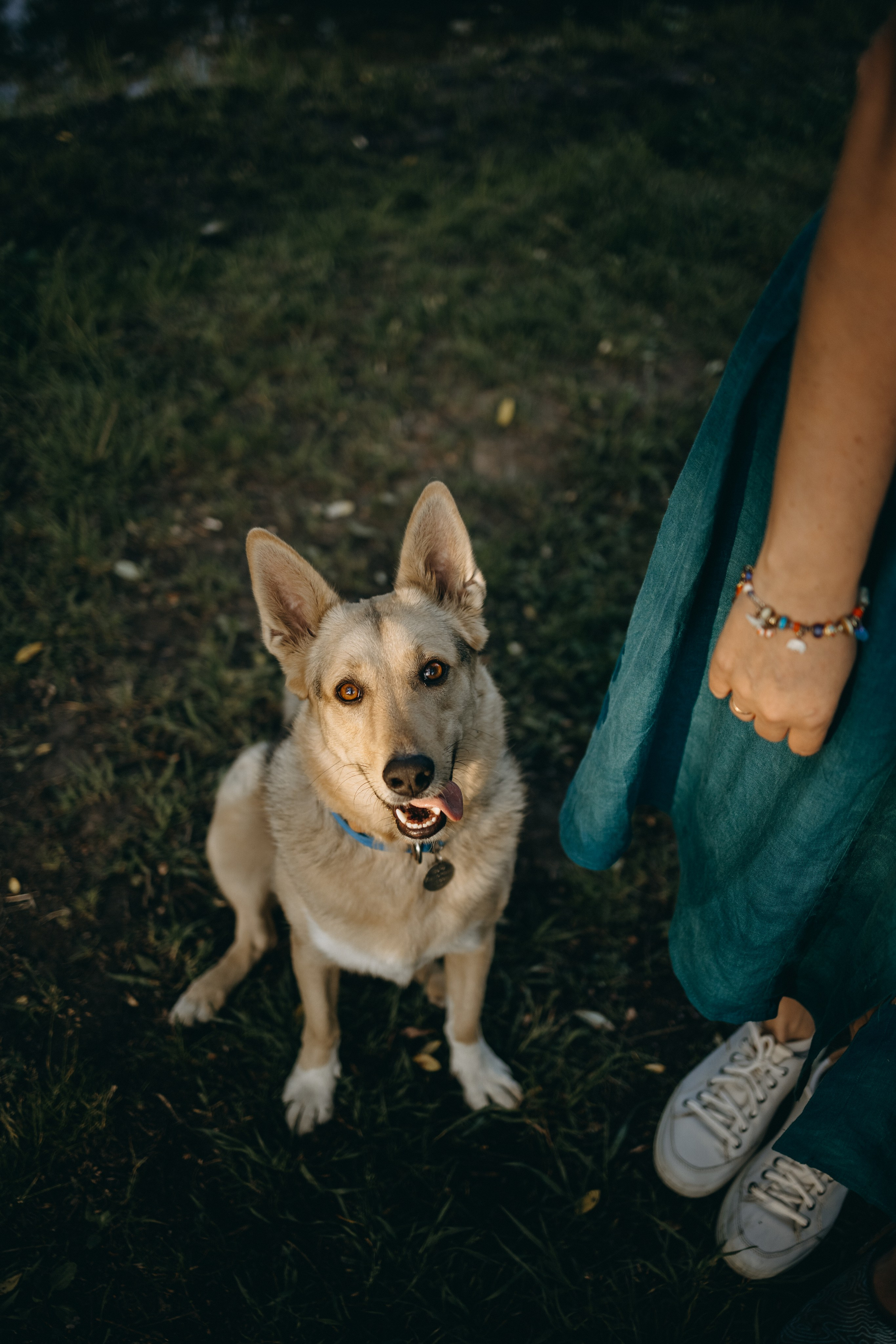 Татьяна, Сергей и их Булочка и Пончик. Фотограф — Анималист | Санкт-Петербург