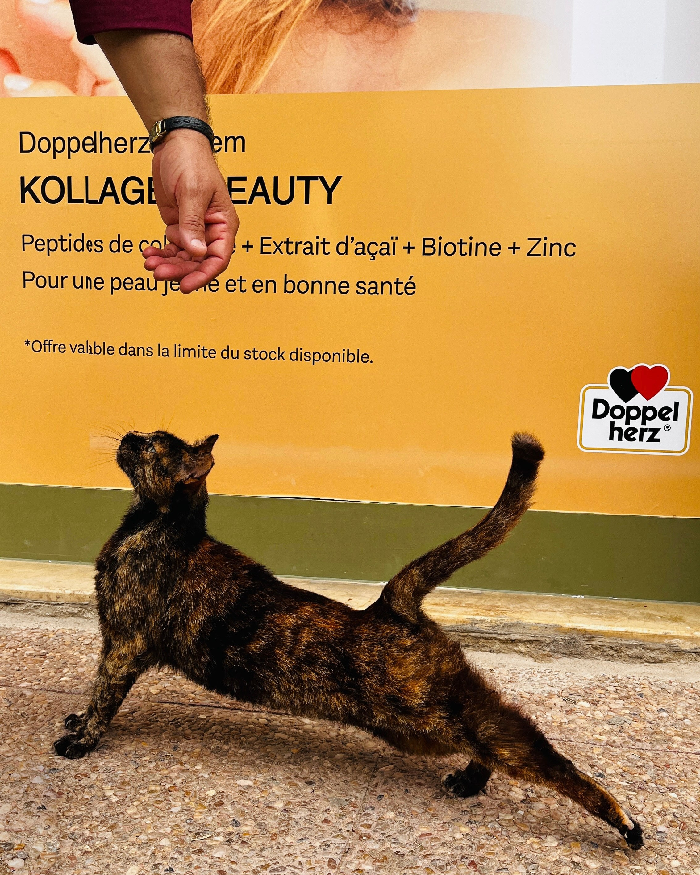 Северная Африка: Тунис, Марокко. Фотограф в Хабаровске. Фотография за 24 часа