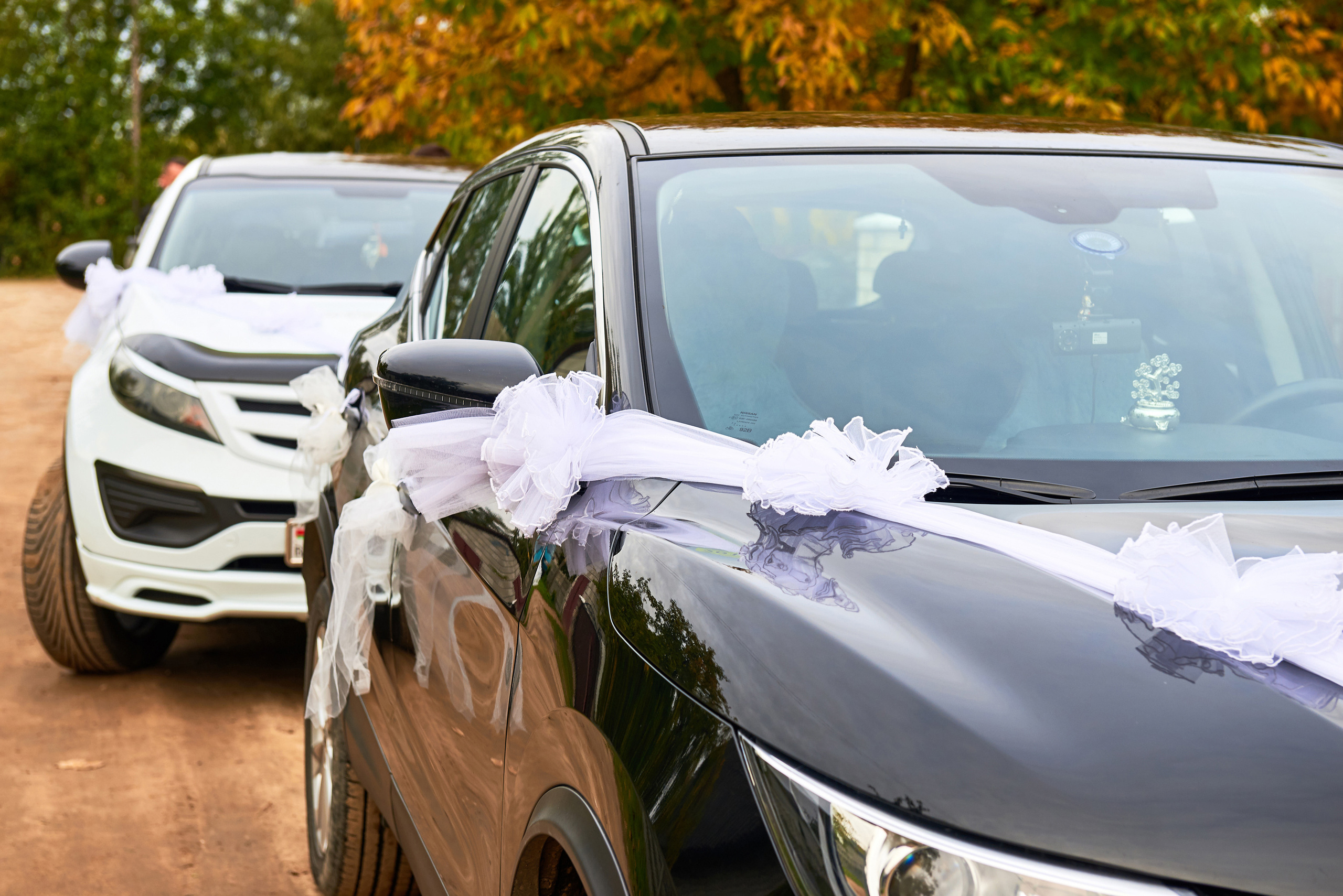 ANNA & DMITRIY. Свадебный фотограф в Бресте. Выезд по РБ