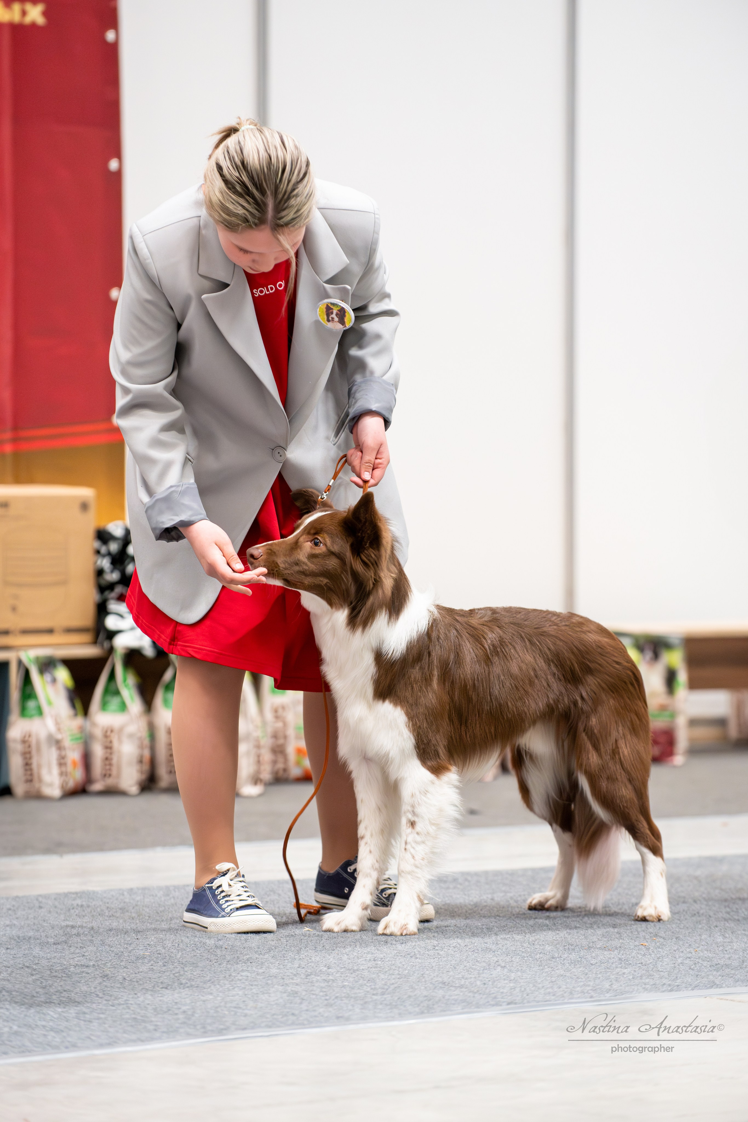 Выставки. Фотограф — Анималист