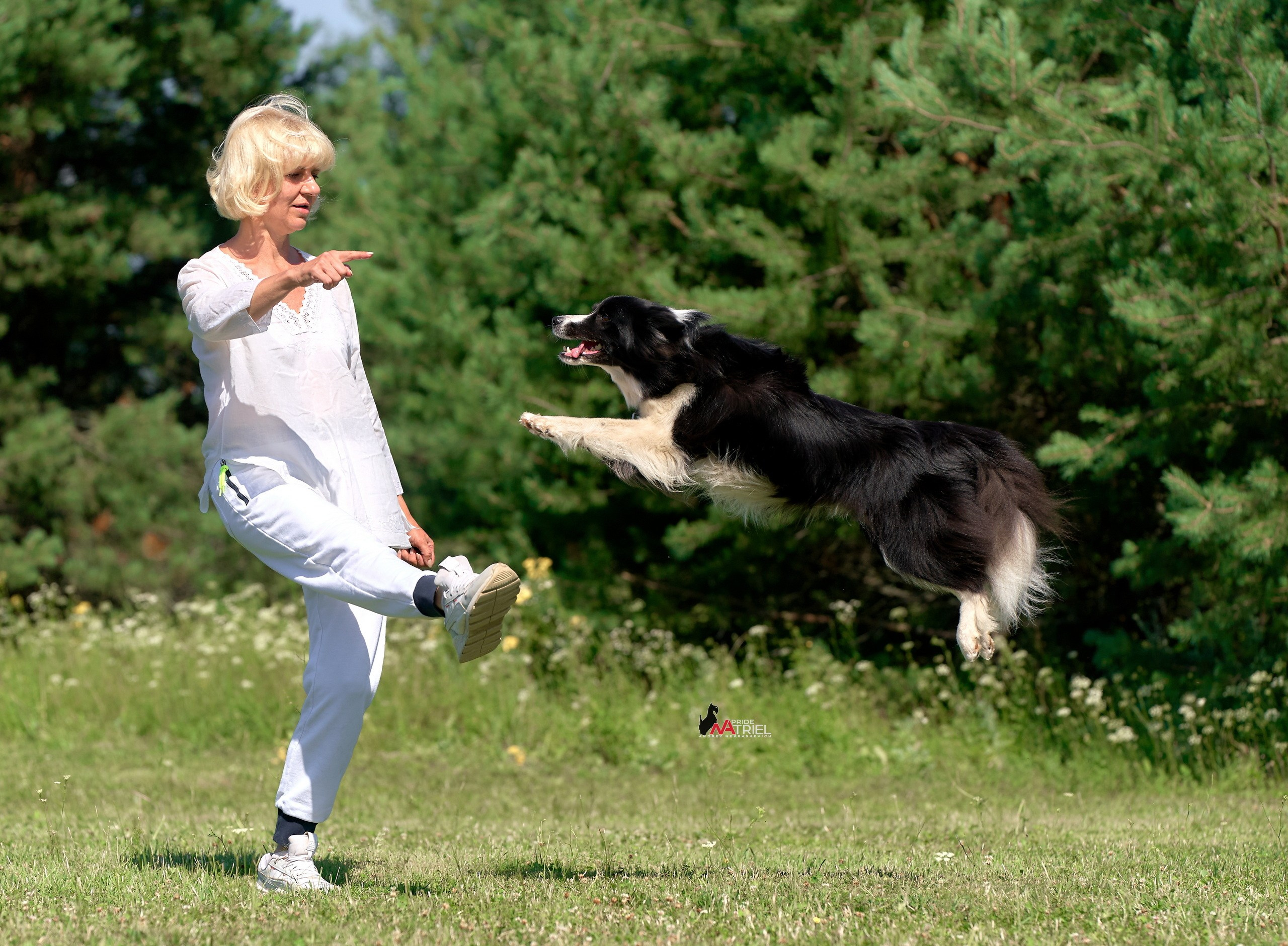 Обидиенс и танцы с собаками — галерея NATRIEL