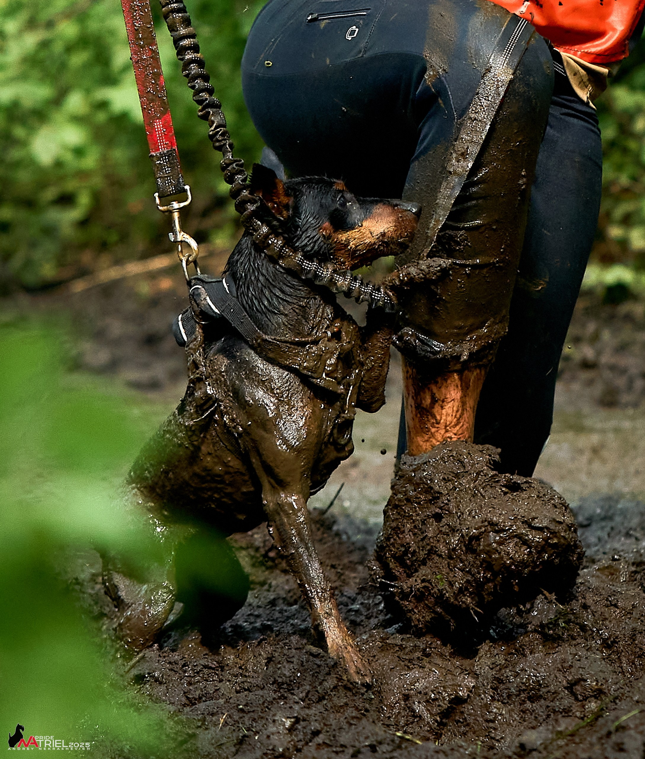 Russian Extreme Dog Trail — 2025