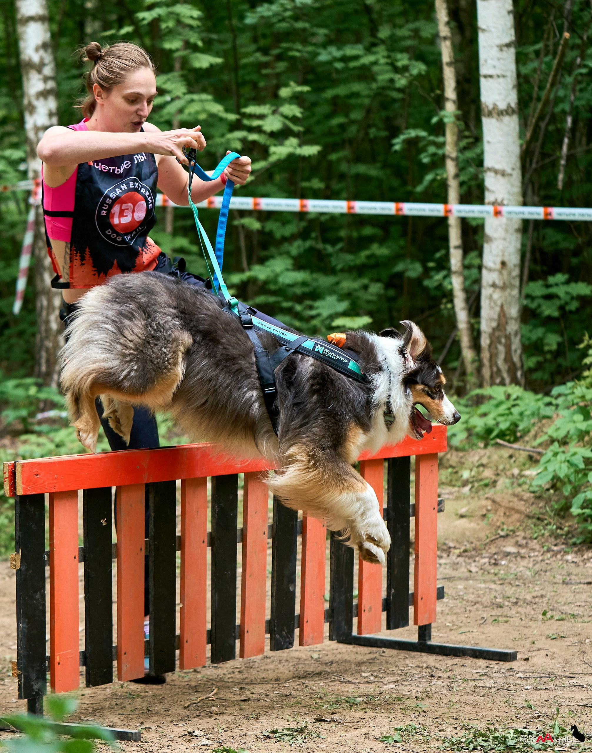 Russian Extreme Dog Trail — 2025