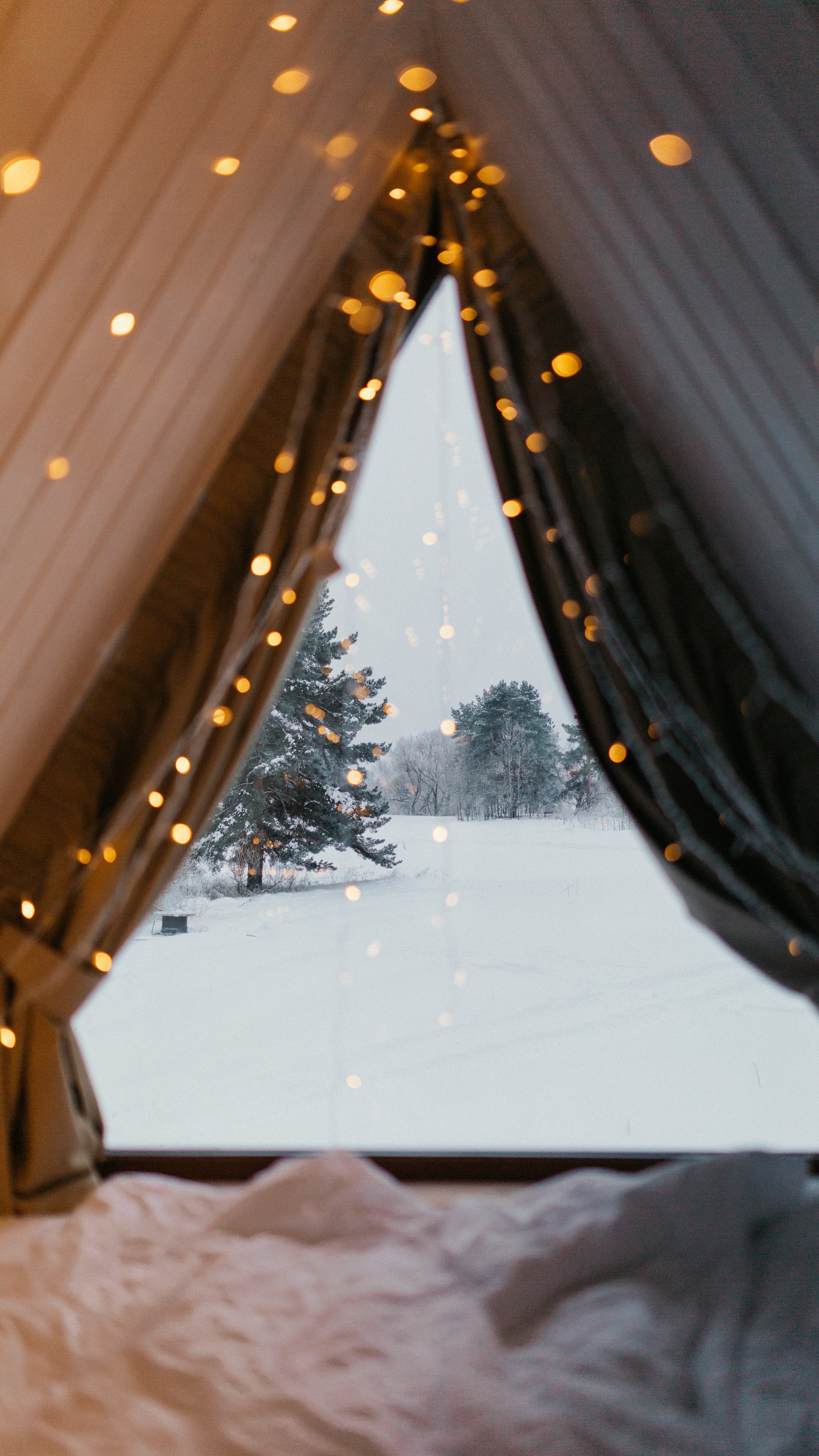Новогодняя. Свадебный фотограф в Ярославле Алиса Тарасова