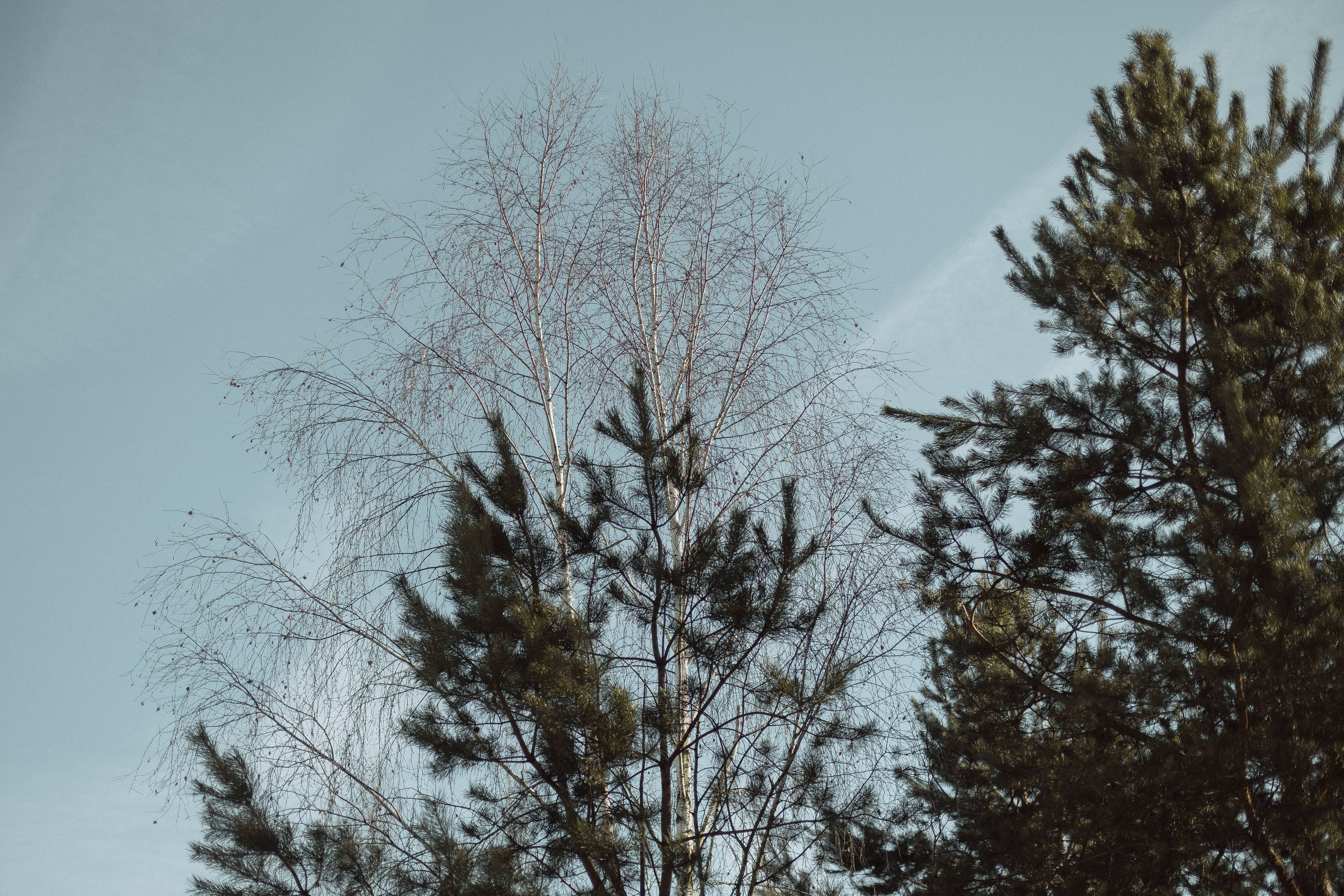 Экопарк ПОЛЯНЫ. Главная