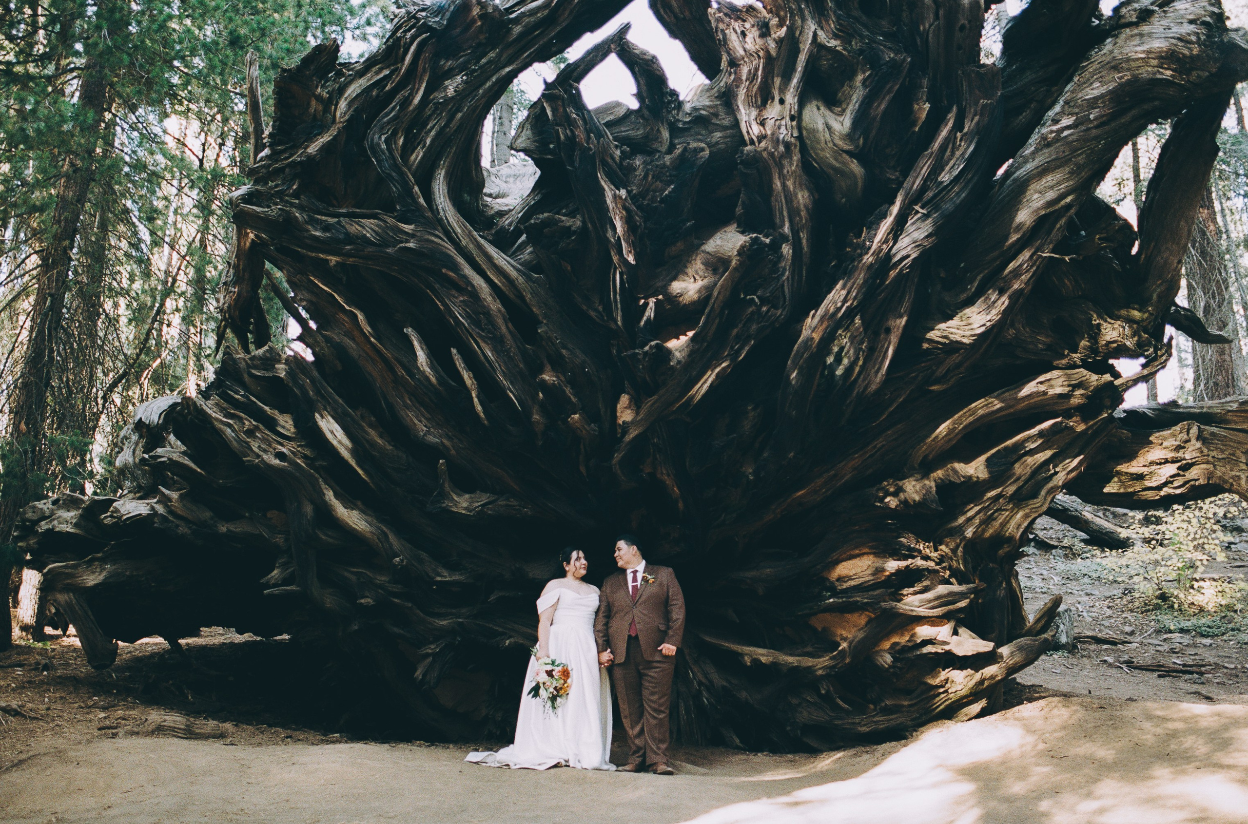 an elopement in Sequoia National Park, California 