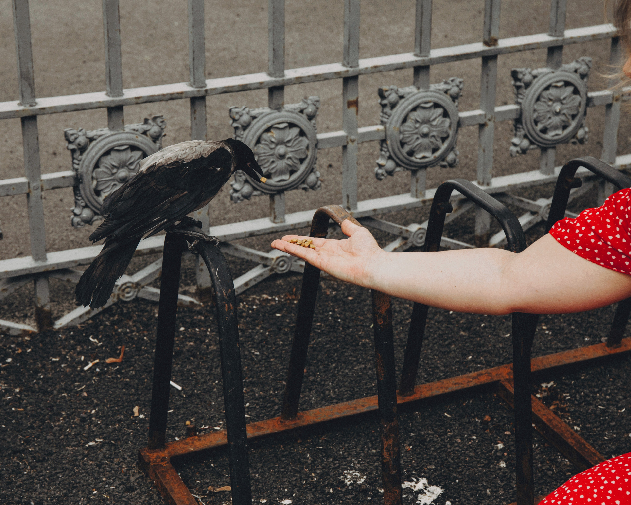 Катерина. Портретный фотограф Ванинен Анастасия. Санкт-Петербург