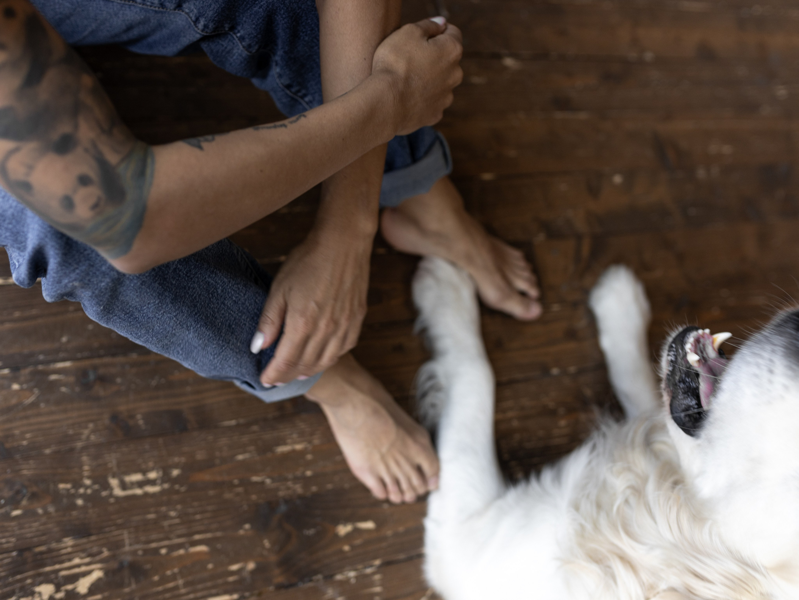 Энди и Настя. Фотограф-анималист в Москве Кириллова Татьяна