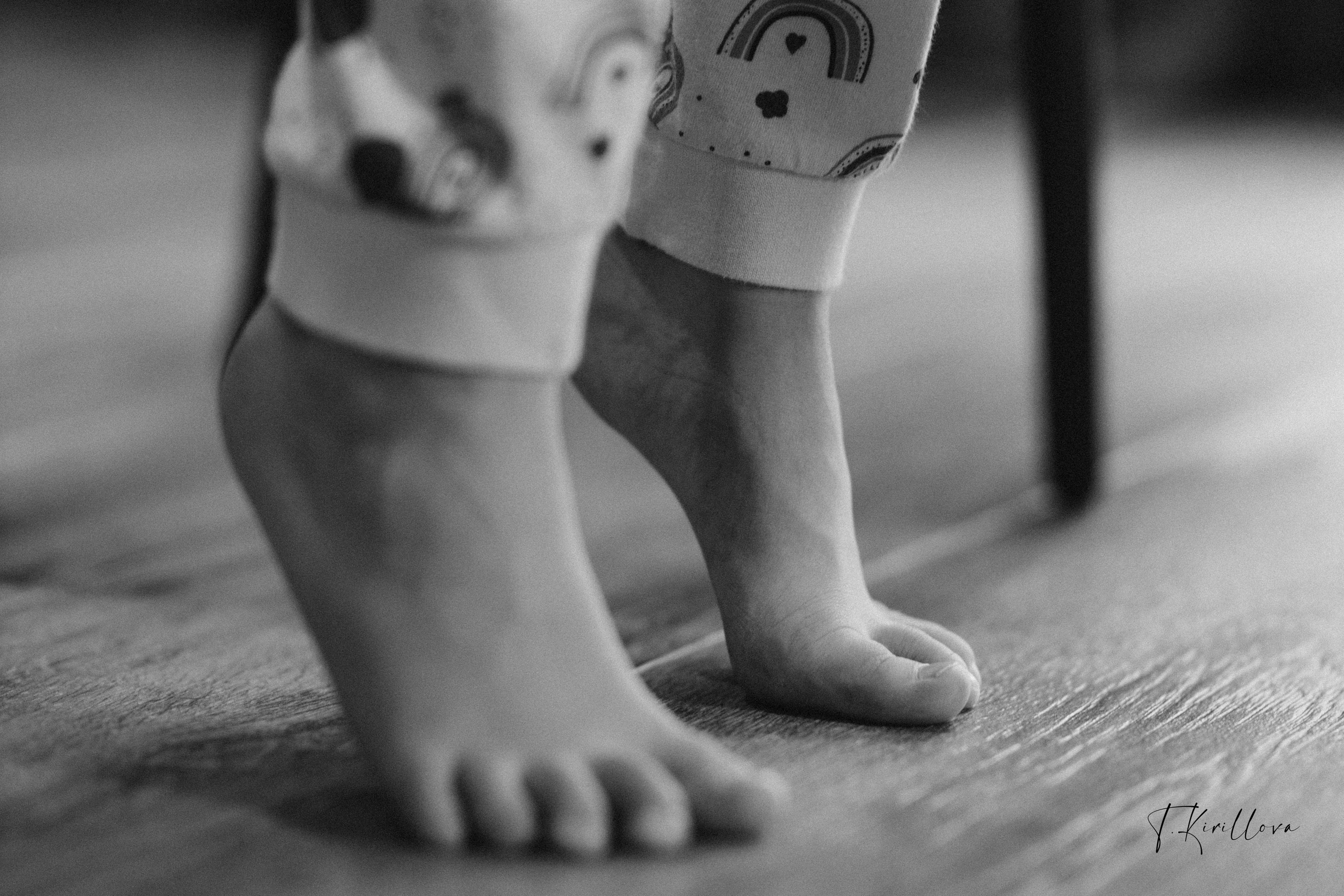 Новогоднее утро. Фотограф-анималист в Москве Кириллова Татьяна