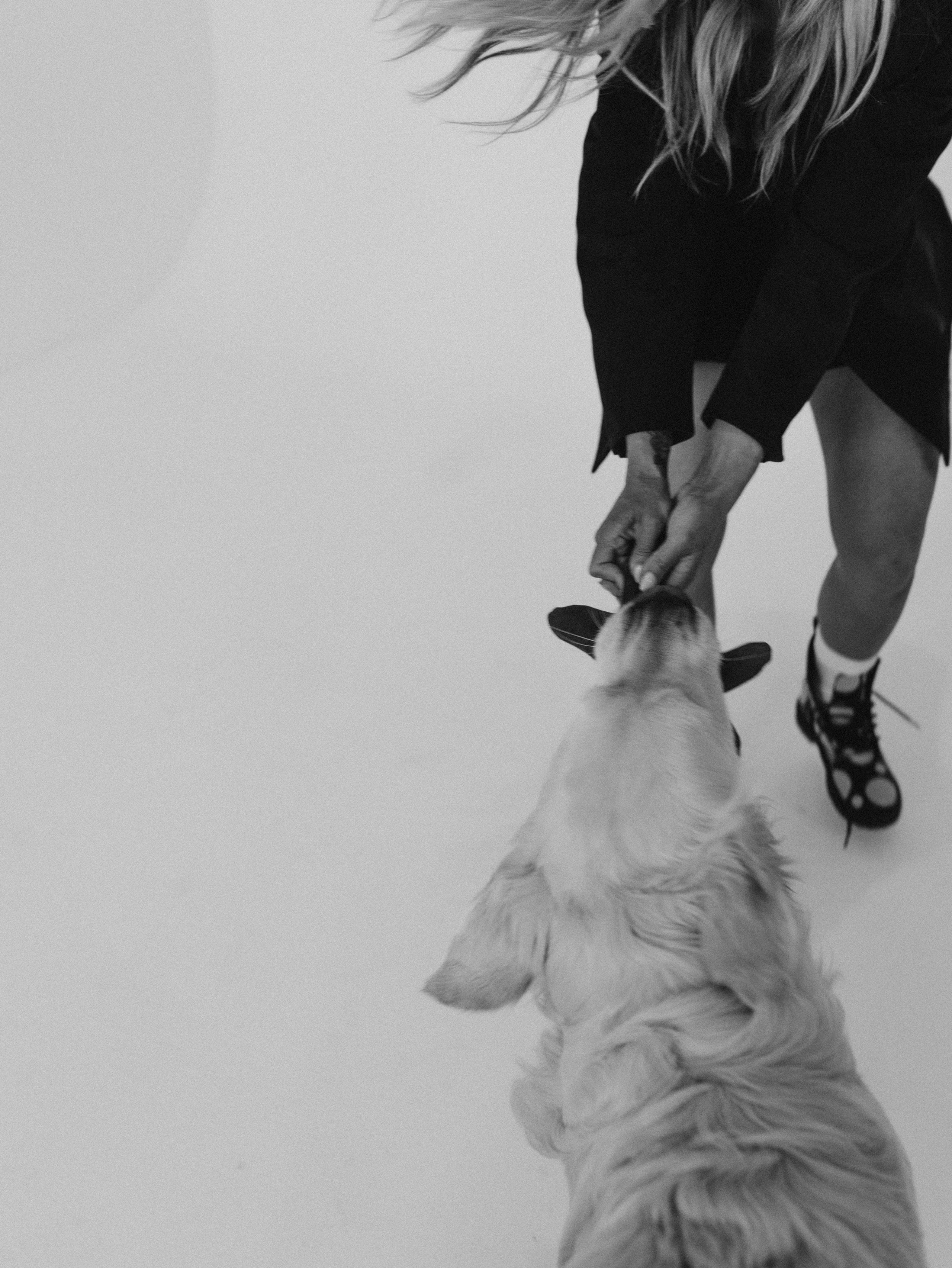 Энди и Настя. Фотограф-анималист в Москве Кириллова Татьяна