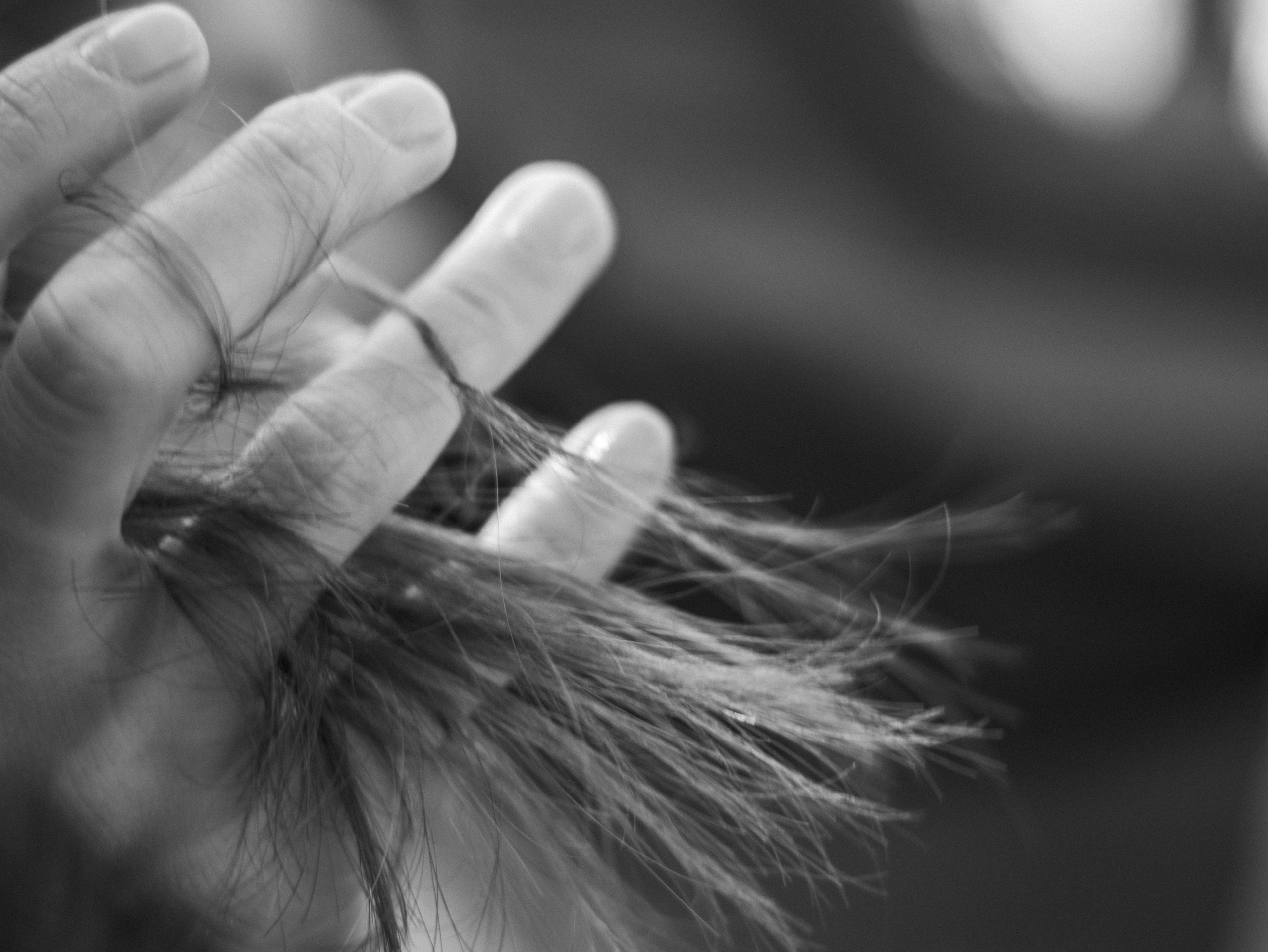 Алёна. Фотограф-анималист в Москве Кириллова Татьяна