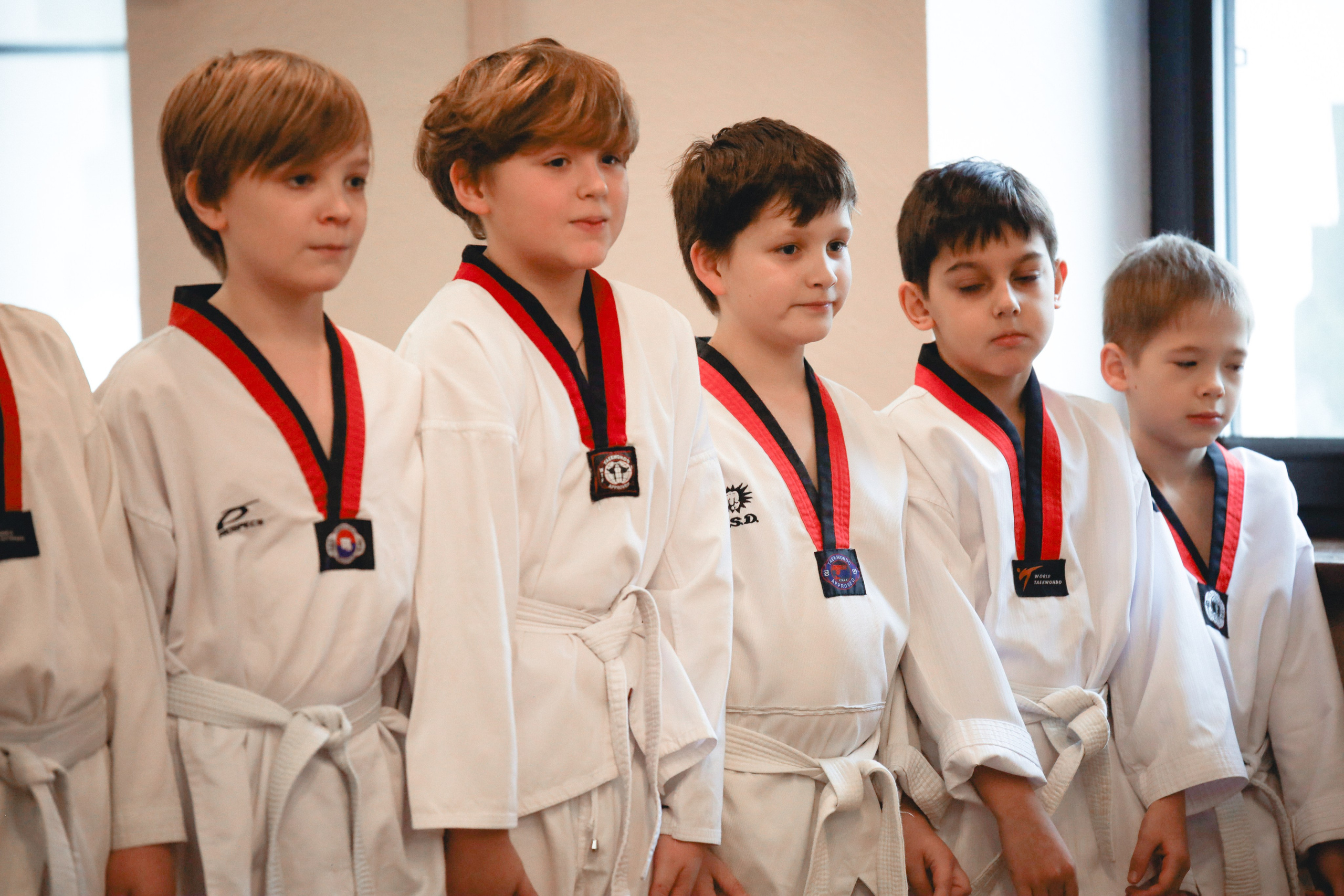 Тхэквондо Аттестация. Фотограф в Москве Бастракова Юлия