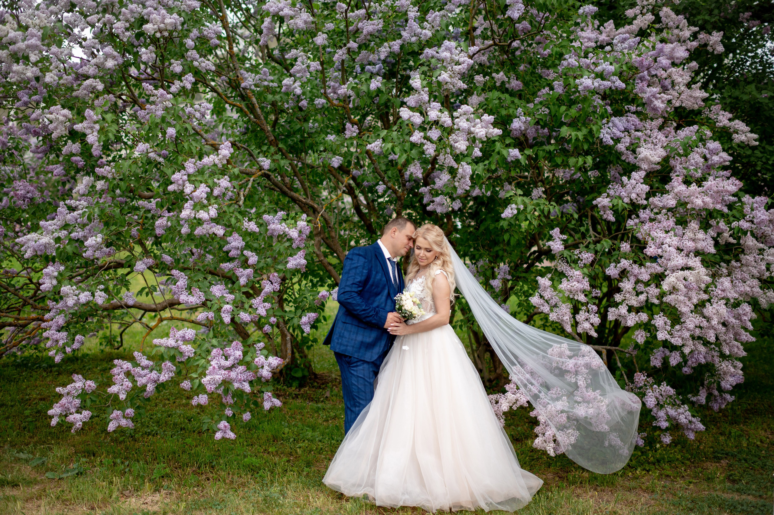 Евгения (фотосессия с малиновым chevrolet camaro, в сирени в Пушкине в Екатерининском парке). Портретный, семейный и свадебный фотограф в Санкт-Петербурге и в Пушкине Ширяев Денис