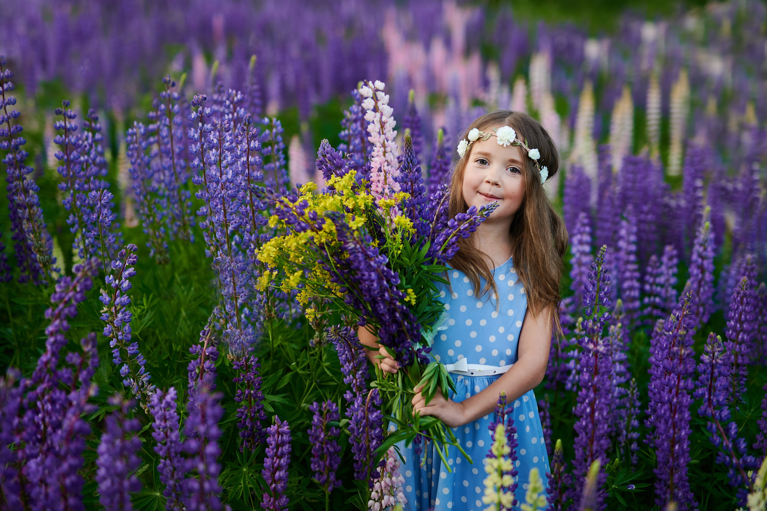 Счастье в люпинах. Портретный, семейный и свадебный фотограф в Санкт-Петербурге и в Пушкине Ширяев Денис