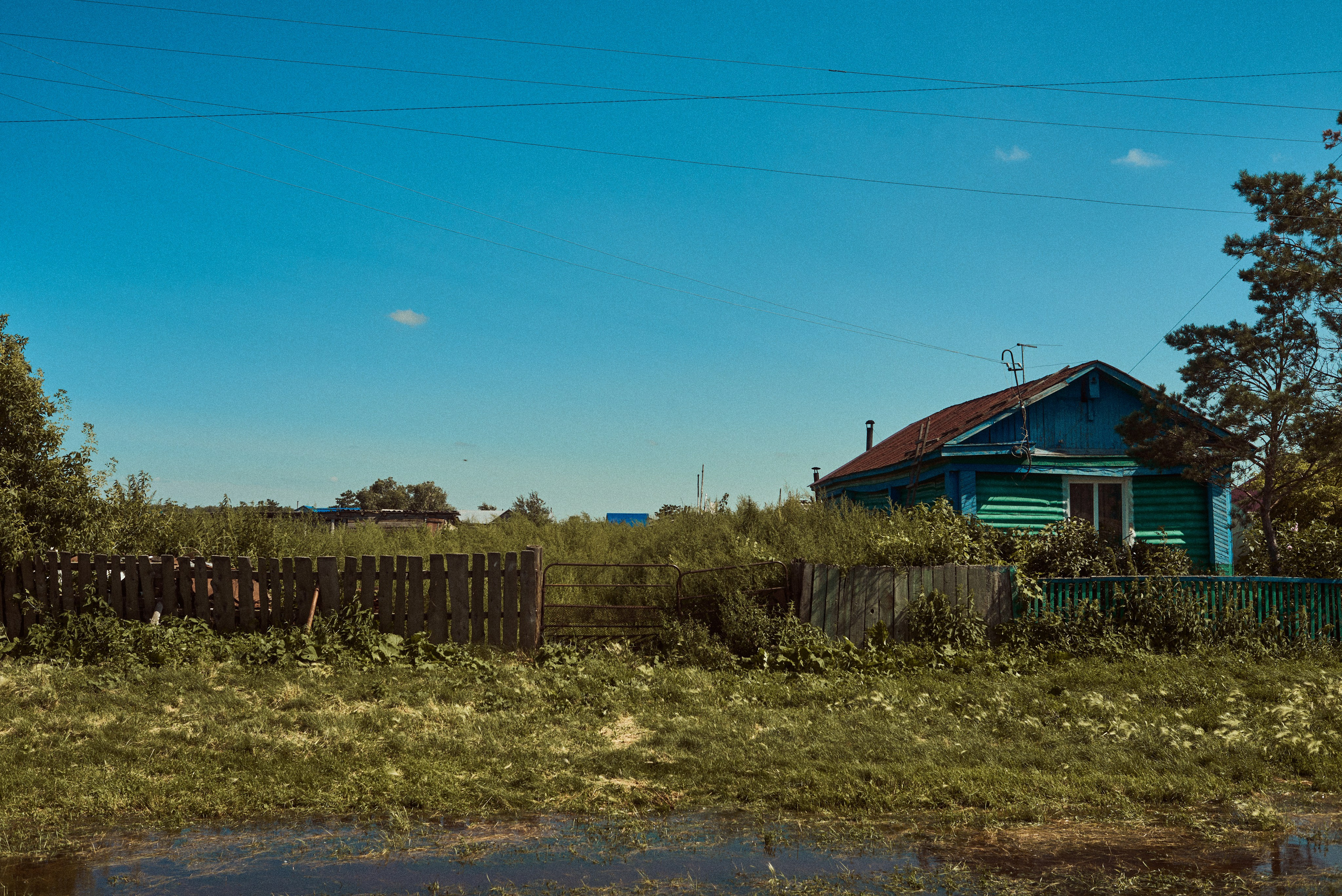 2024. Марфин. Фотограф