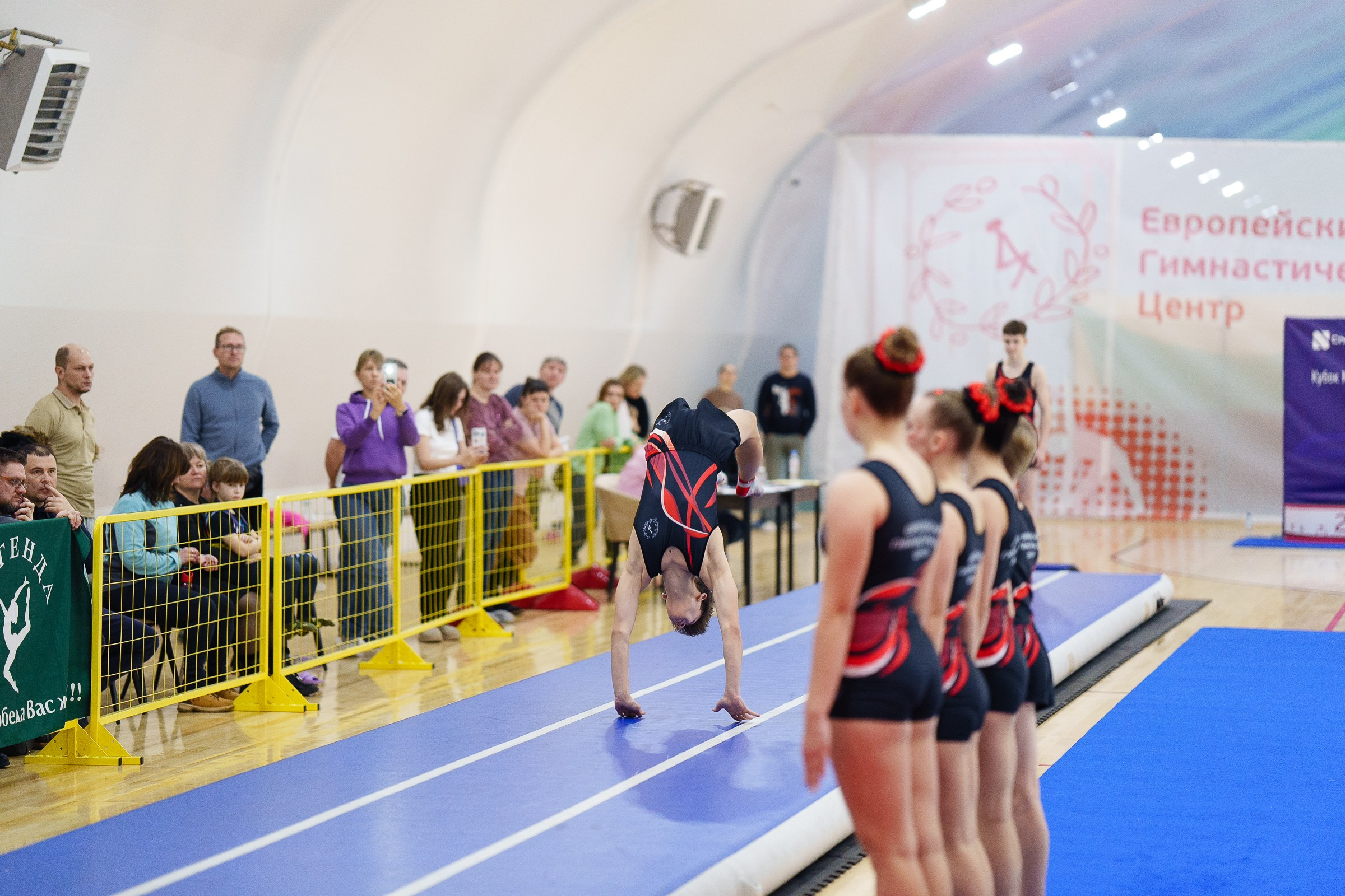 Гимнастика. Фотограф Москва