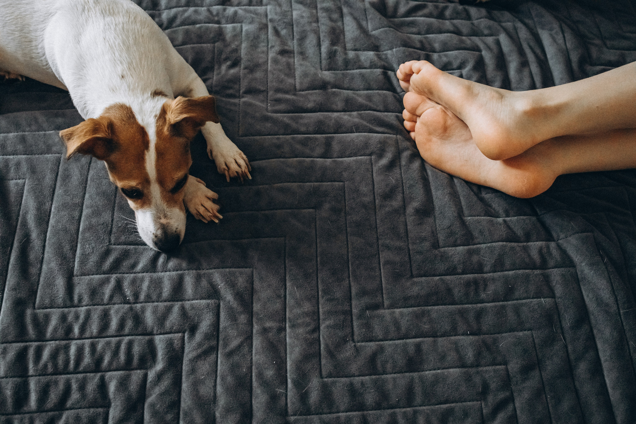 GOOD AT HOME. Фотограф Наталья Карякина|Челябинск