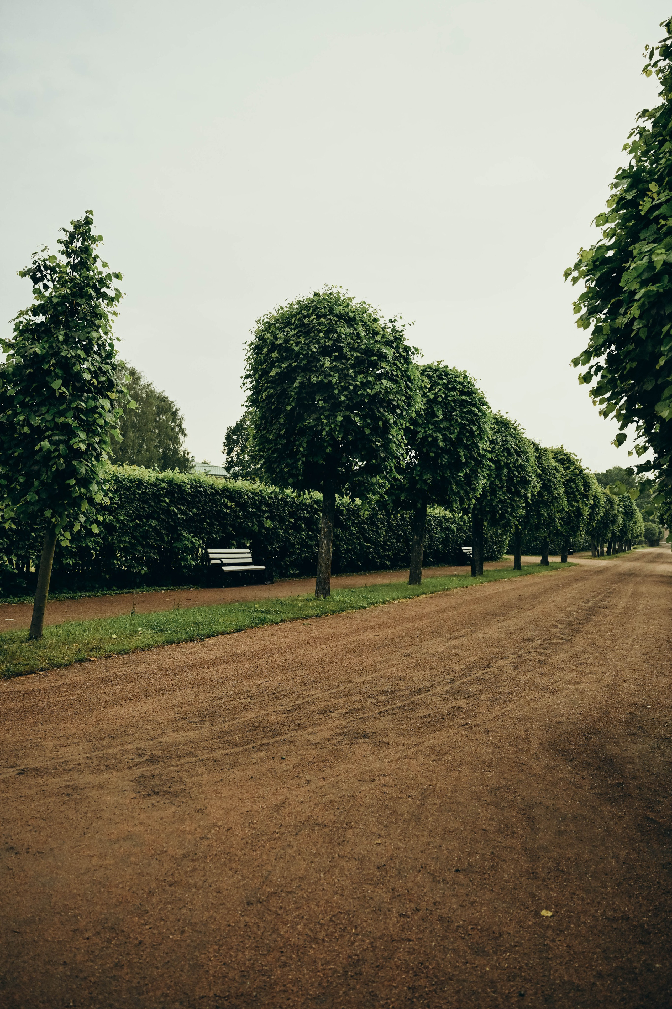 Большая семья в Кусково. Семейный фотограф в Москве Люберцах Ирина Вронская