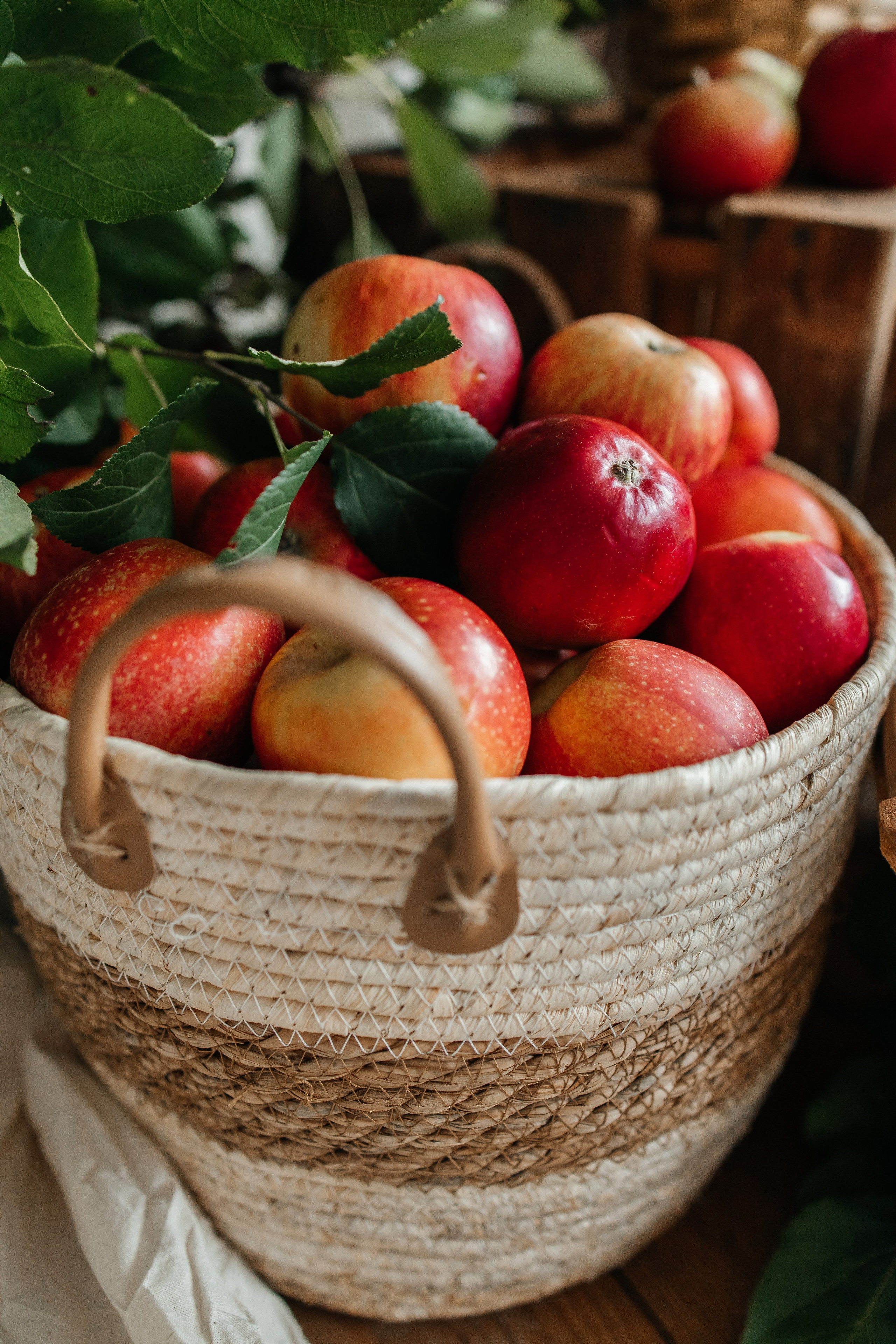 Осенний с кроликом🐇. First-foto.ru