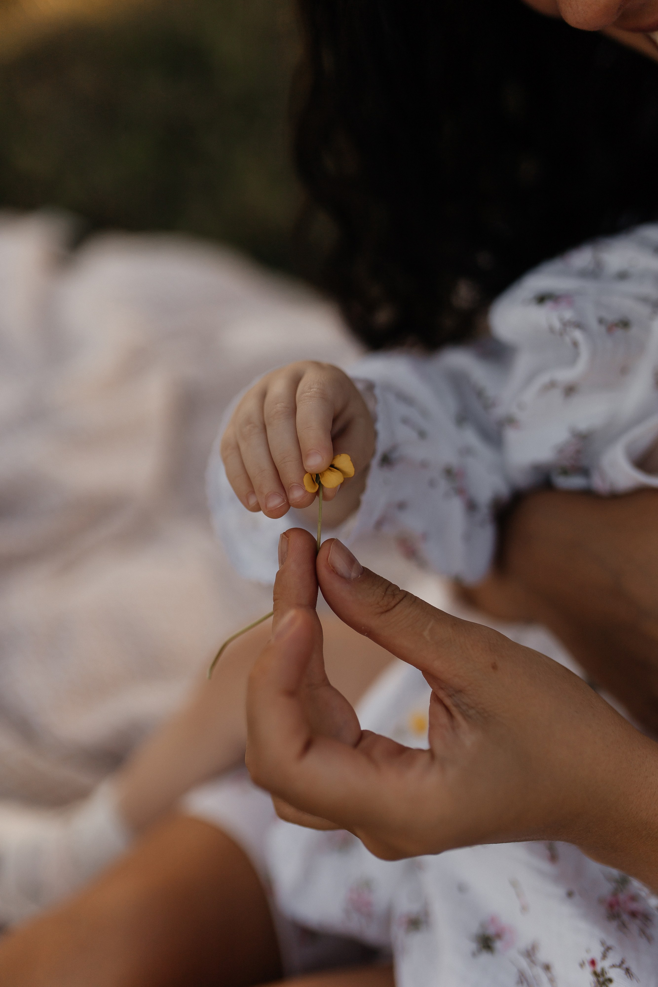 Маша. Семейный фотограф Губкин/Старый Оскол