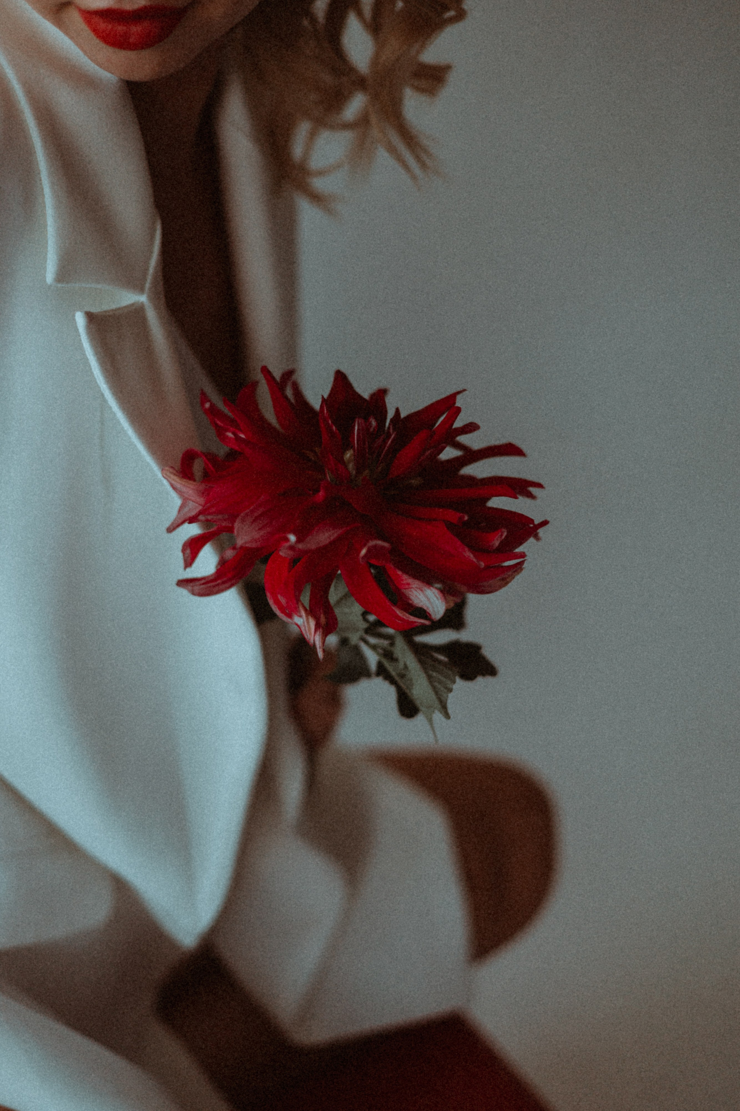 Катя. Семейный фотограф Губкин/Старый Оскол