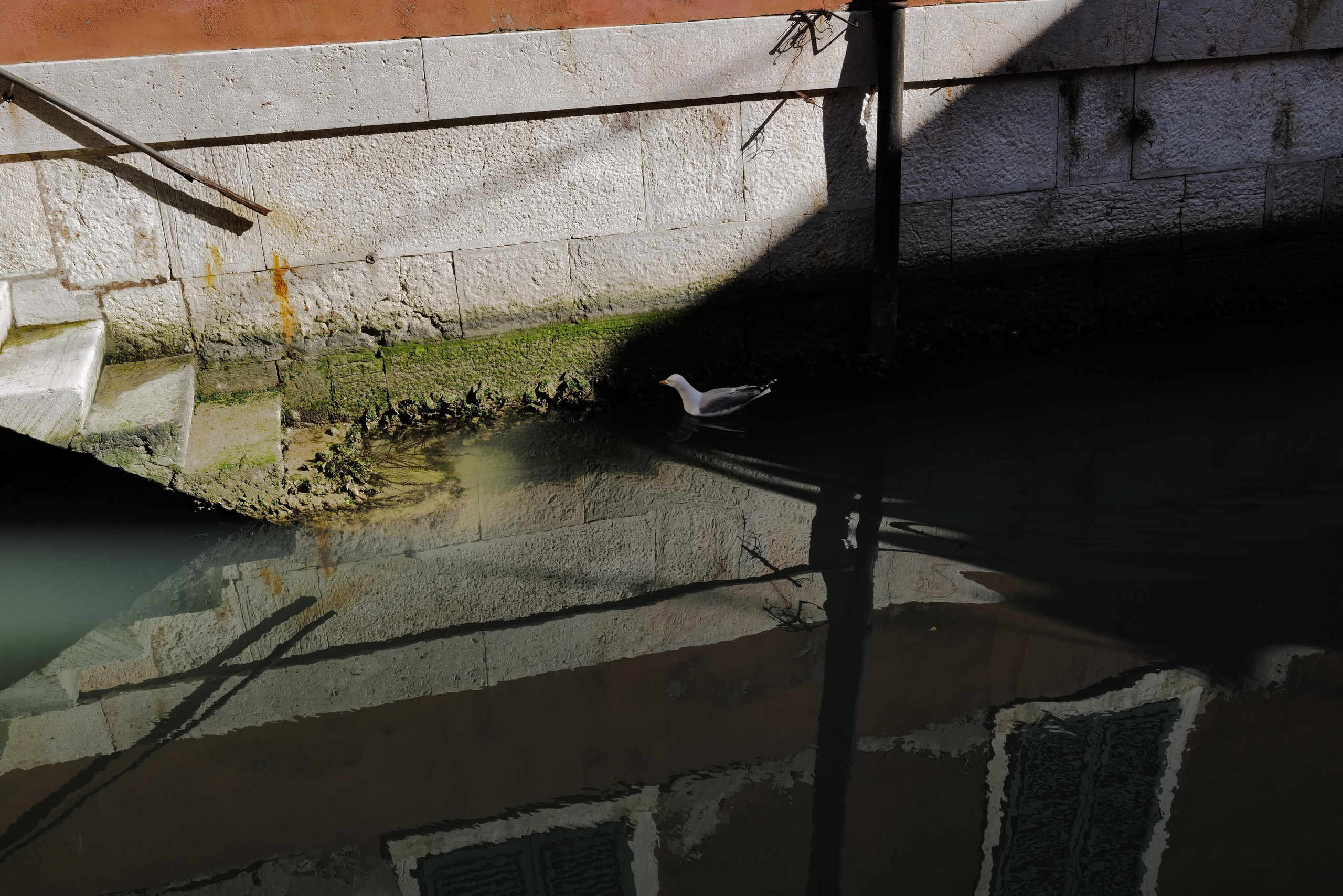 Venice. Фотограф Евгения Добротворская
