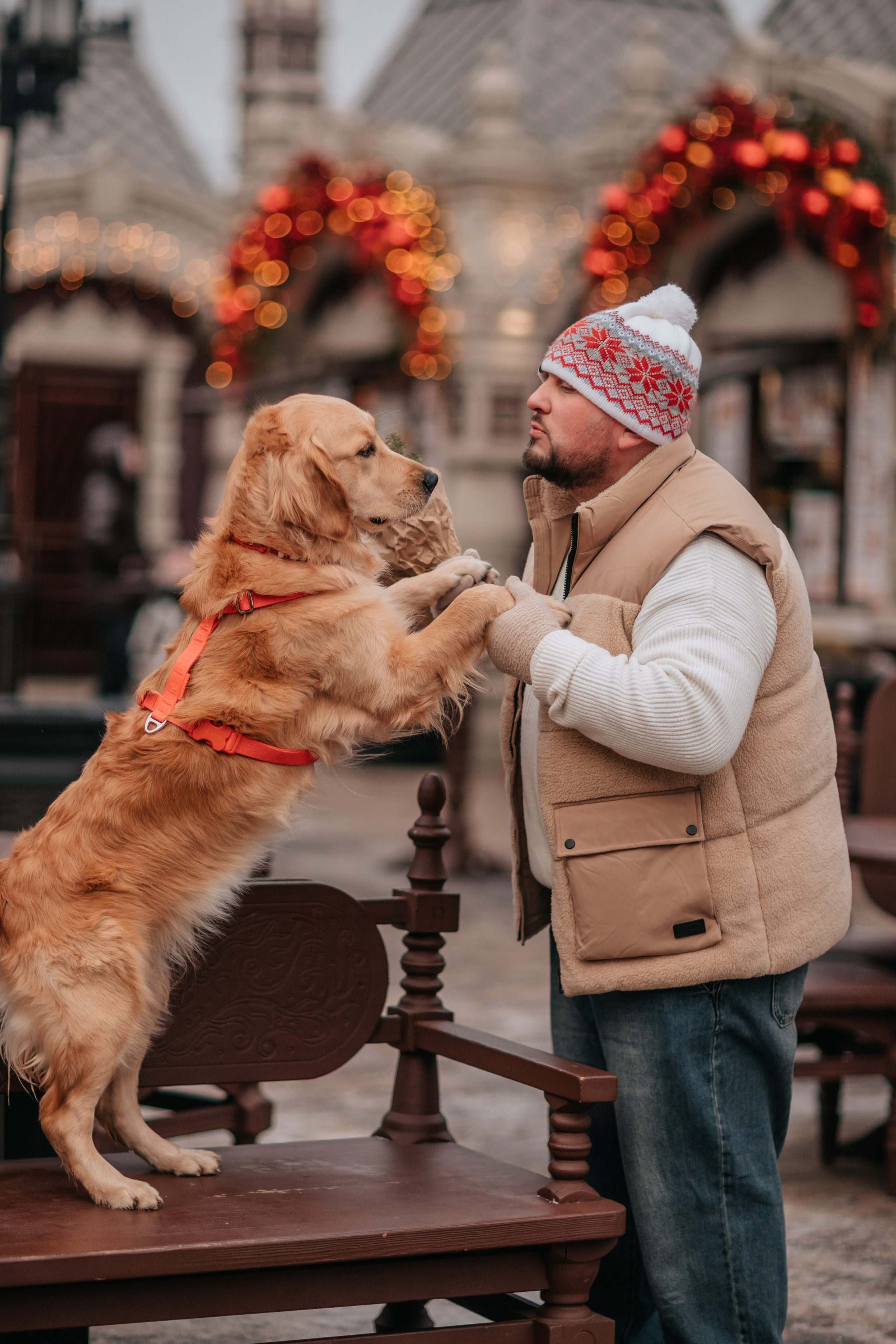 Бетти, Катя и Лёша. Новогодняя история. Семейный фотограф анималист Мария Крючкова