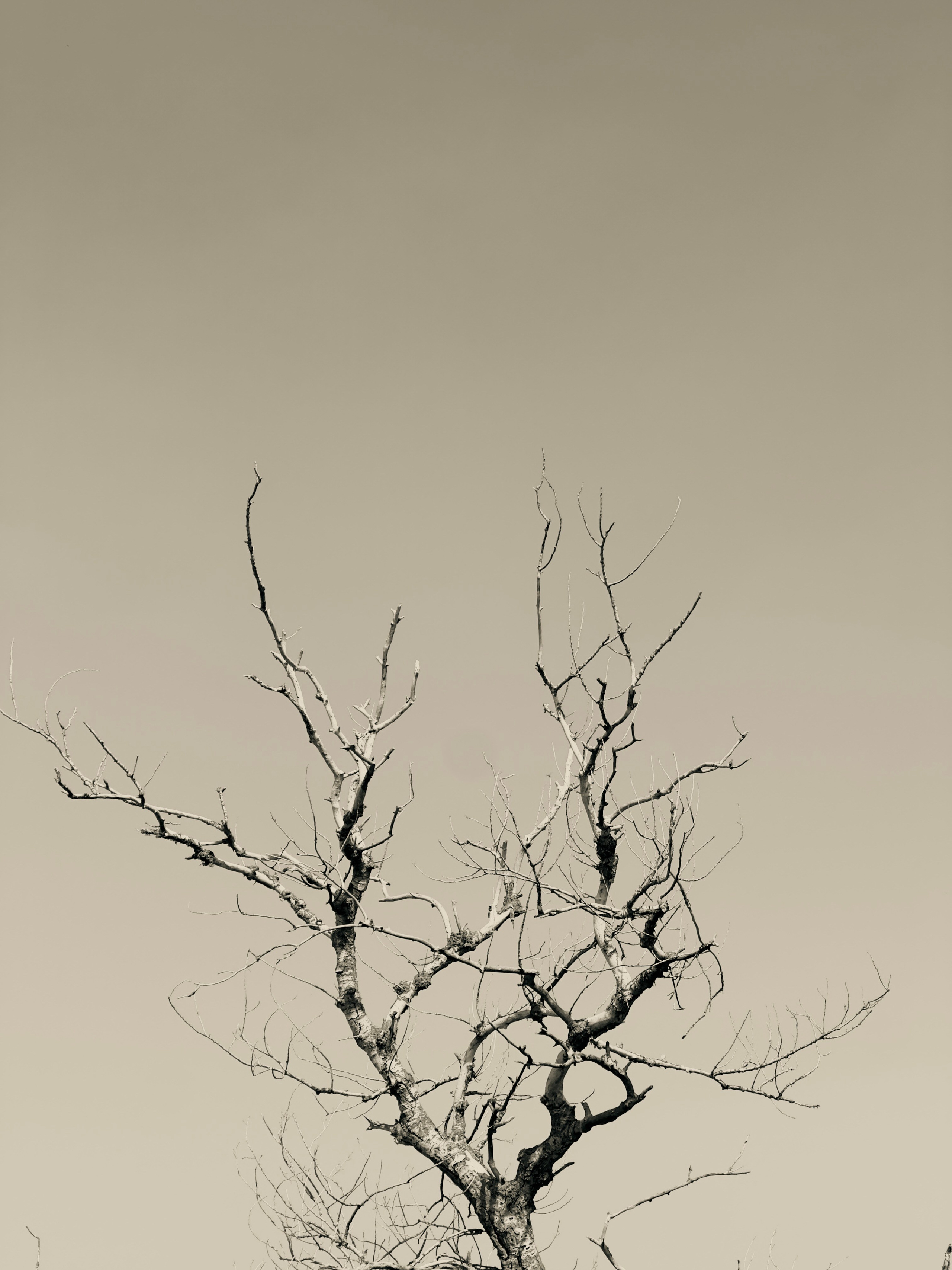 Флора и фауна. Смотри, красота!