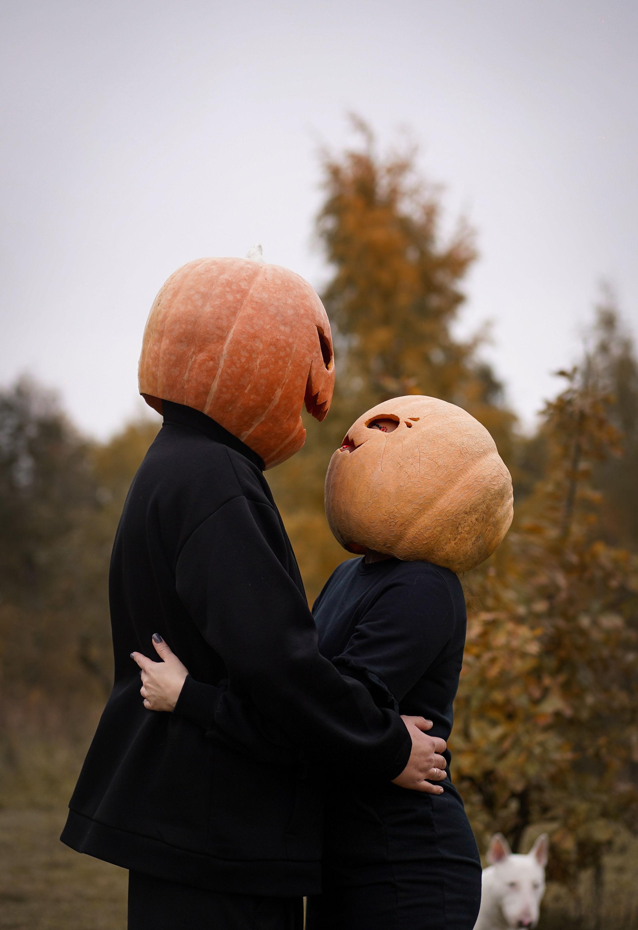 Настя Рома и Сахар Хелоуин. Фотограф-анималист в Санкт-Петербурге Яна Мартынова