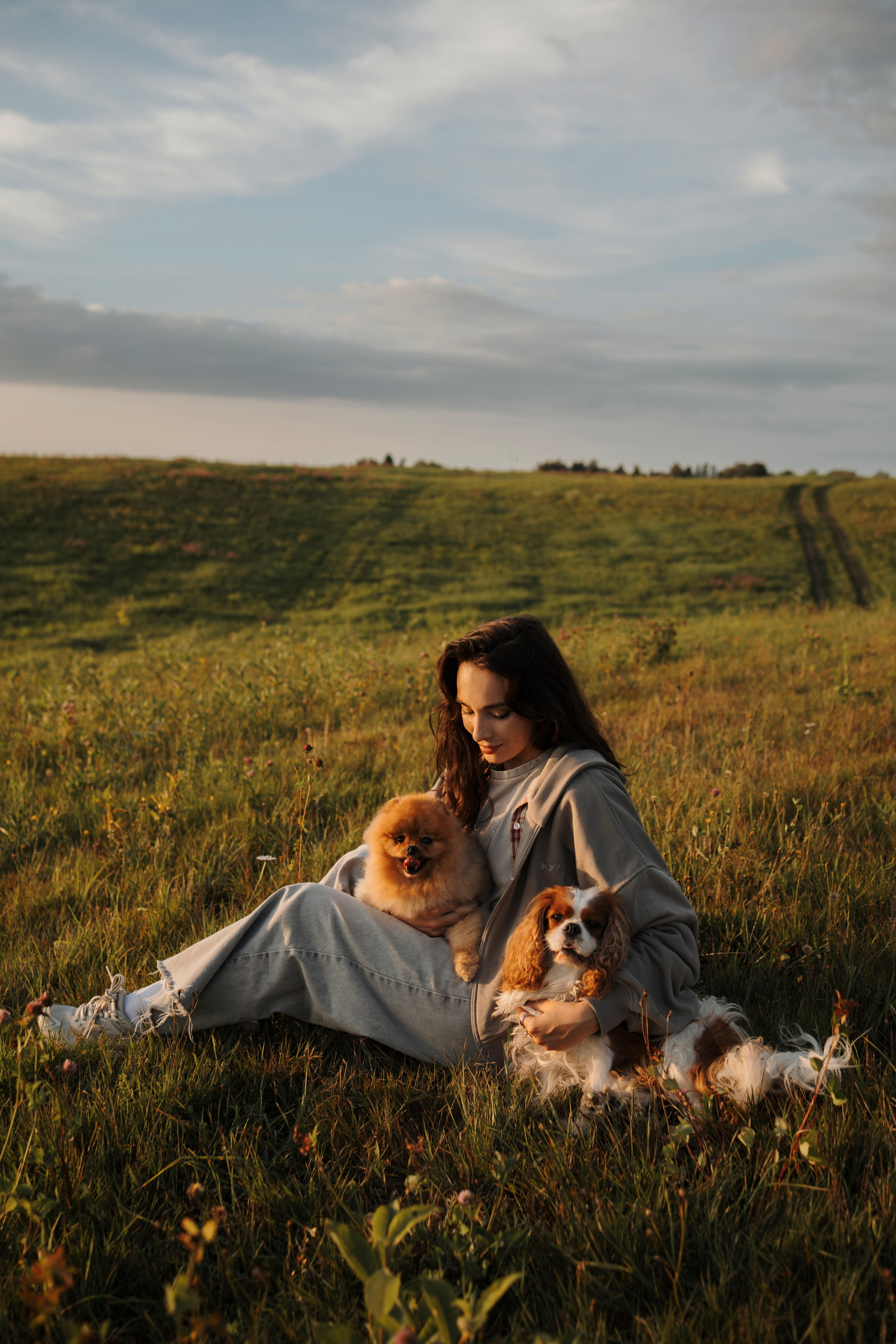 На закате Катерина, Луна и Рикки. Фотограф-анималист в Санкт-Петеребурге Титова Алиса
