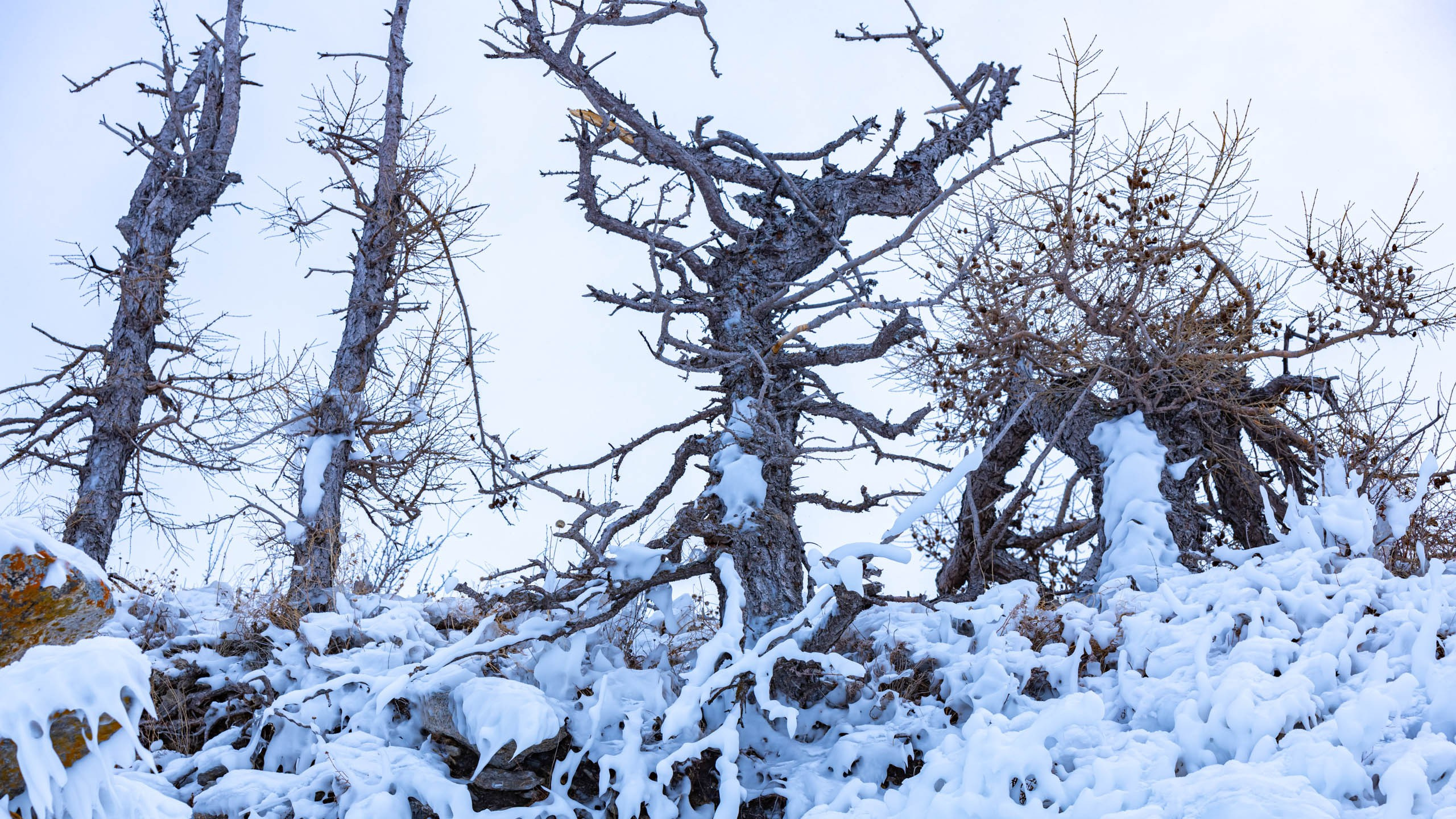 2022 02 Иркутск, Байкал. Фотографии