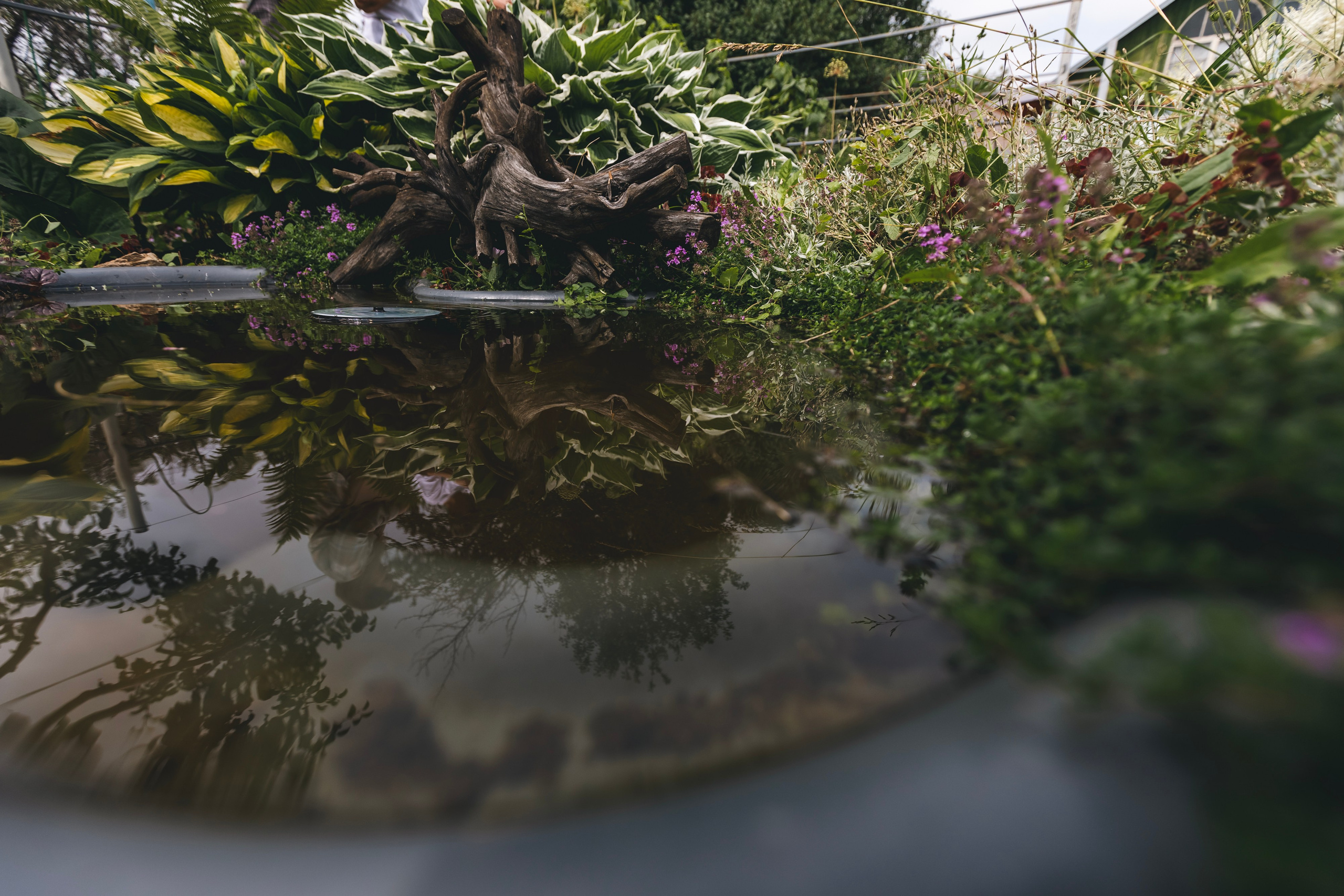 Любовь Георгиевна Пономарева. Садовод и ландшафтный дизайнер. Репортажный фотограф Наталья Лапцевич