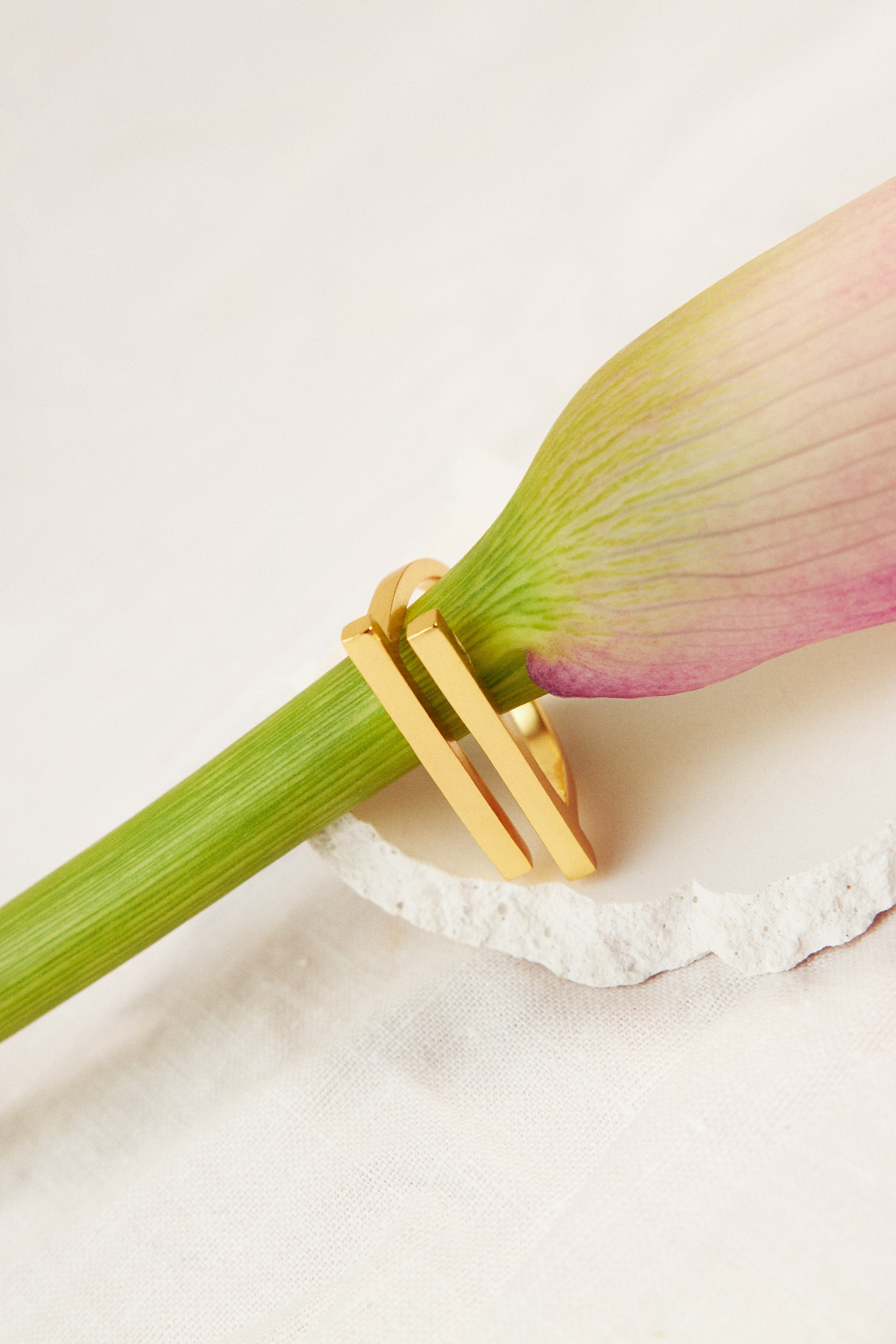 Rassvet Detail. Предметный фотограф Москва Глухарёва Оля