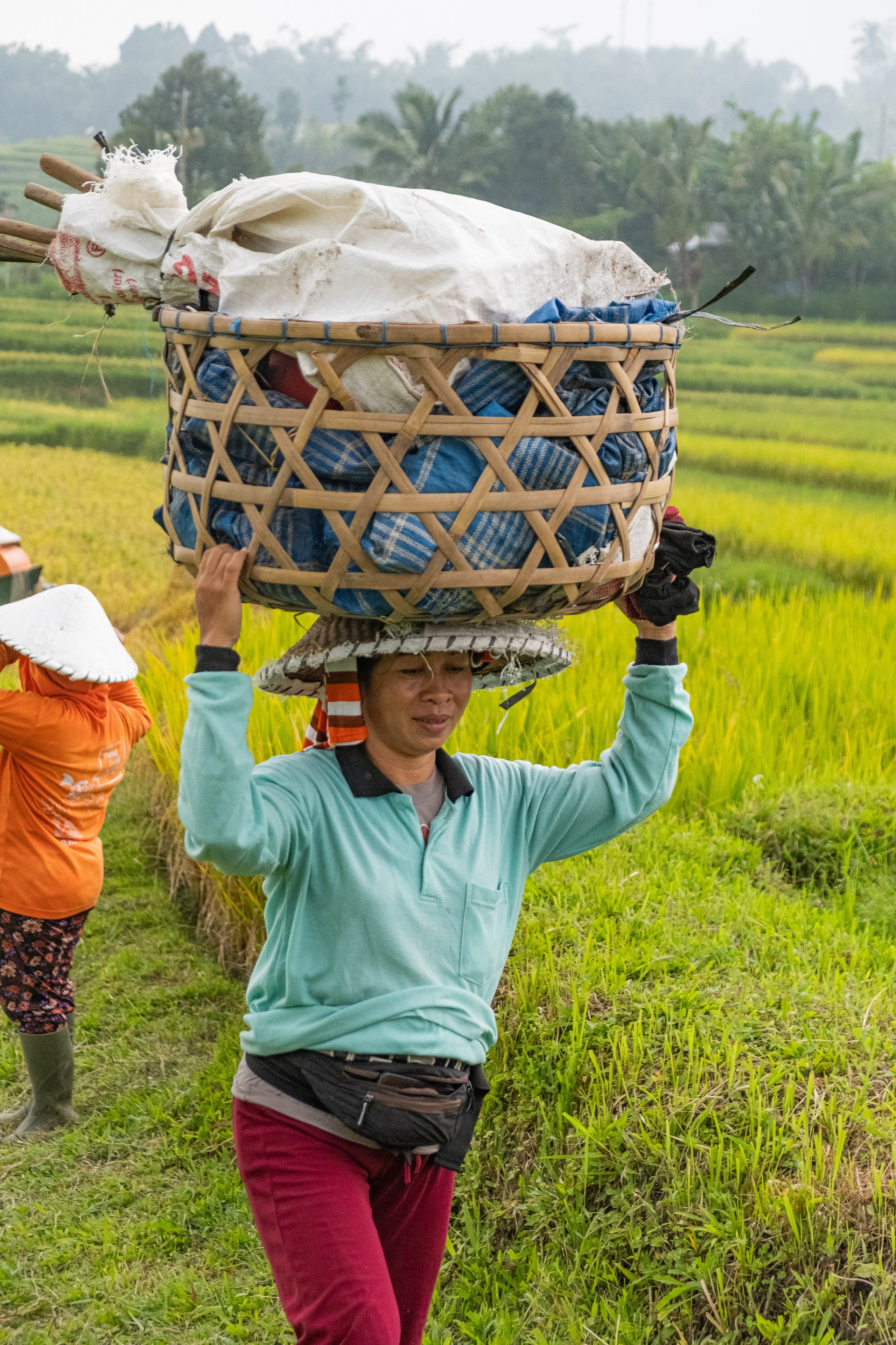 Остров Бали. Фотографии из путешествий