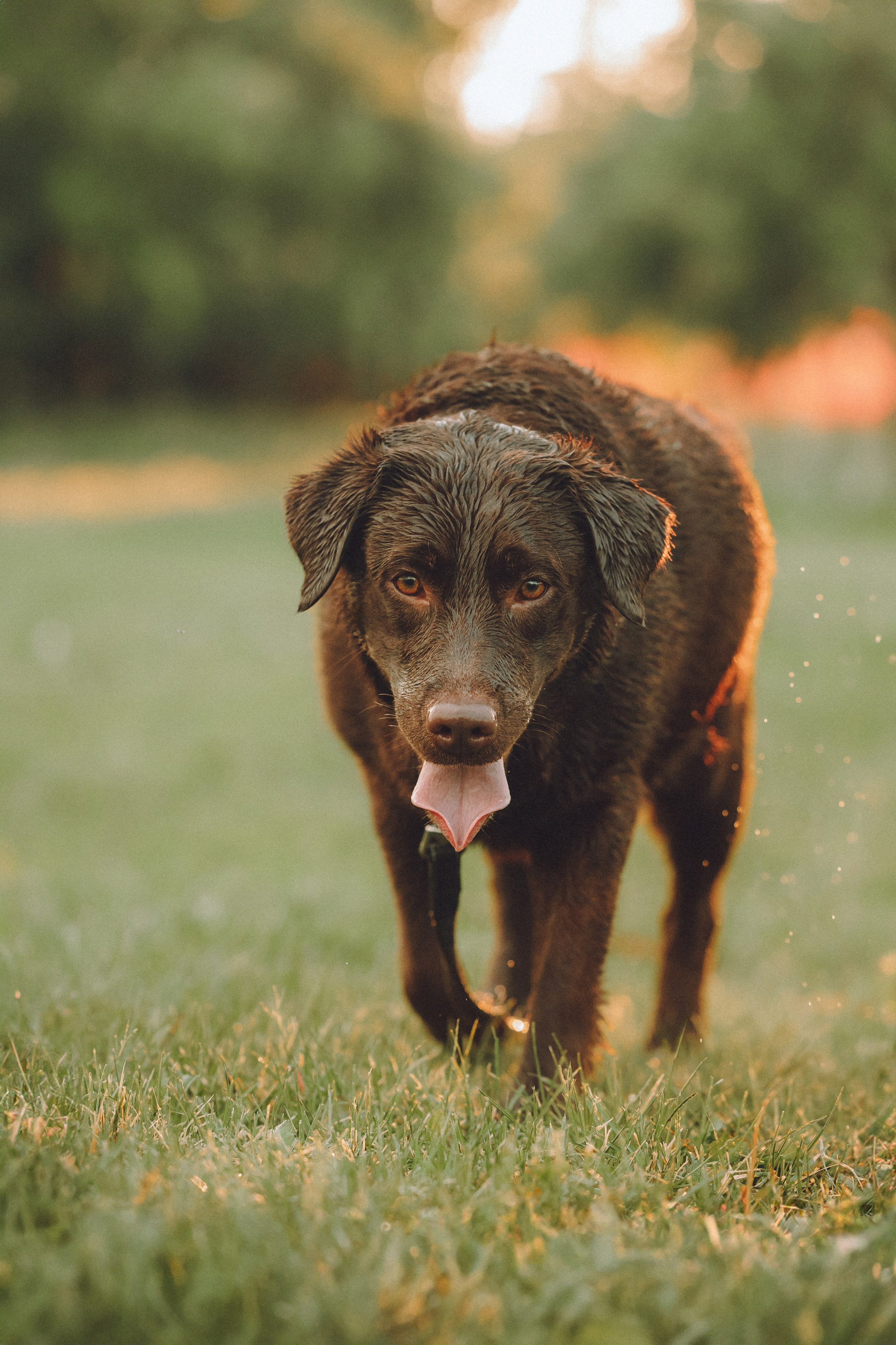 Катя, Ваня и Джеси