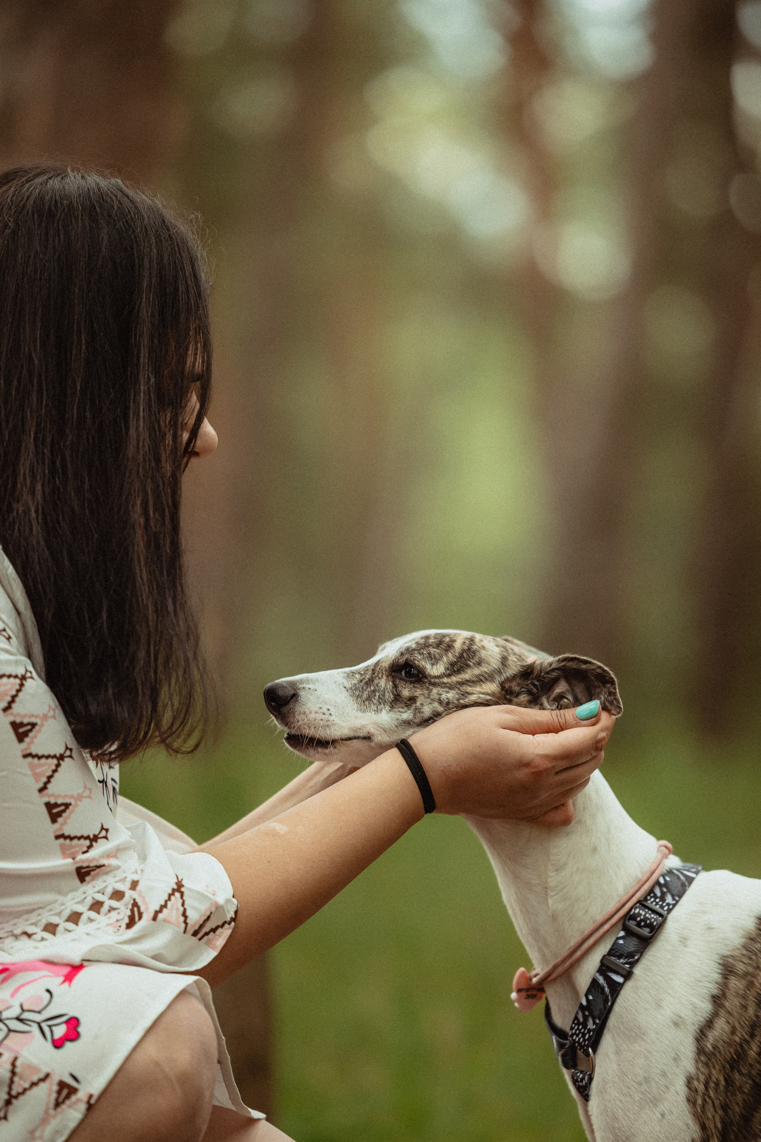 Выездной дог-тренинг от школы «Шерсть имею»