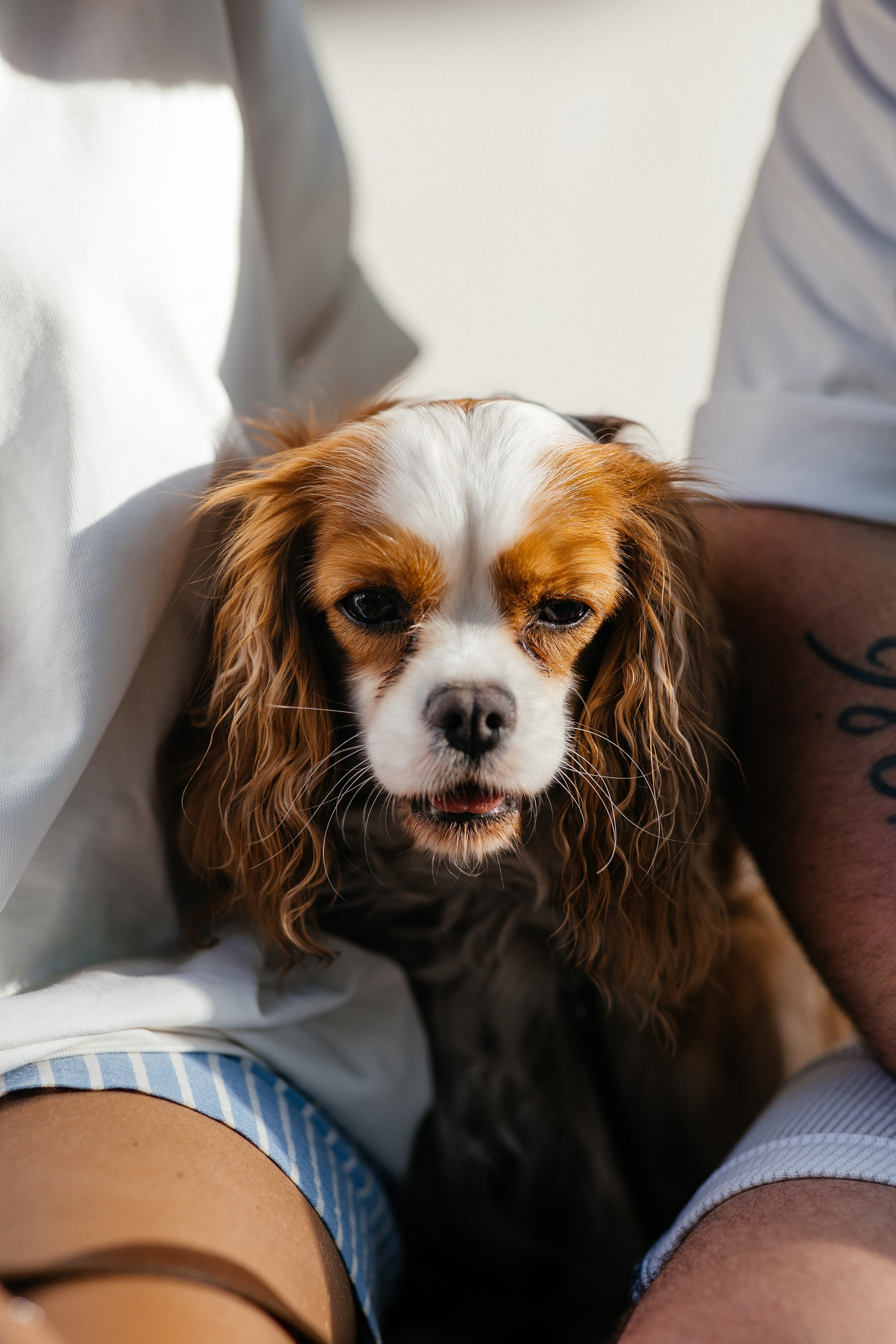 Репортаж. Фотограф Павел Рыжков