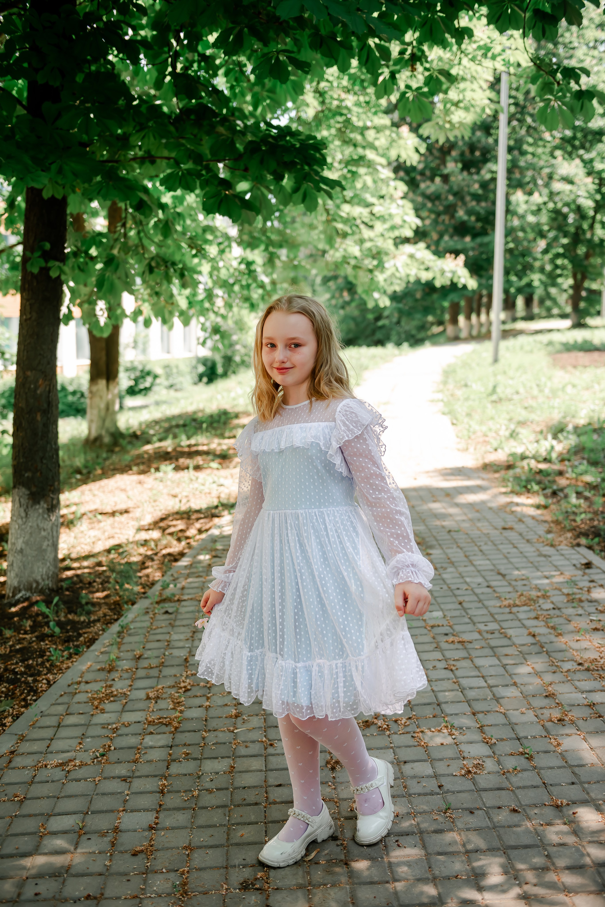 4 «Б» |г.Белгород |31 школа|2024-2025. ALBUMIA