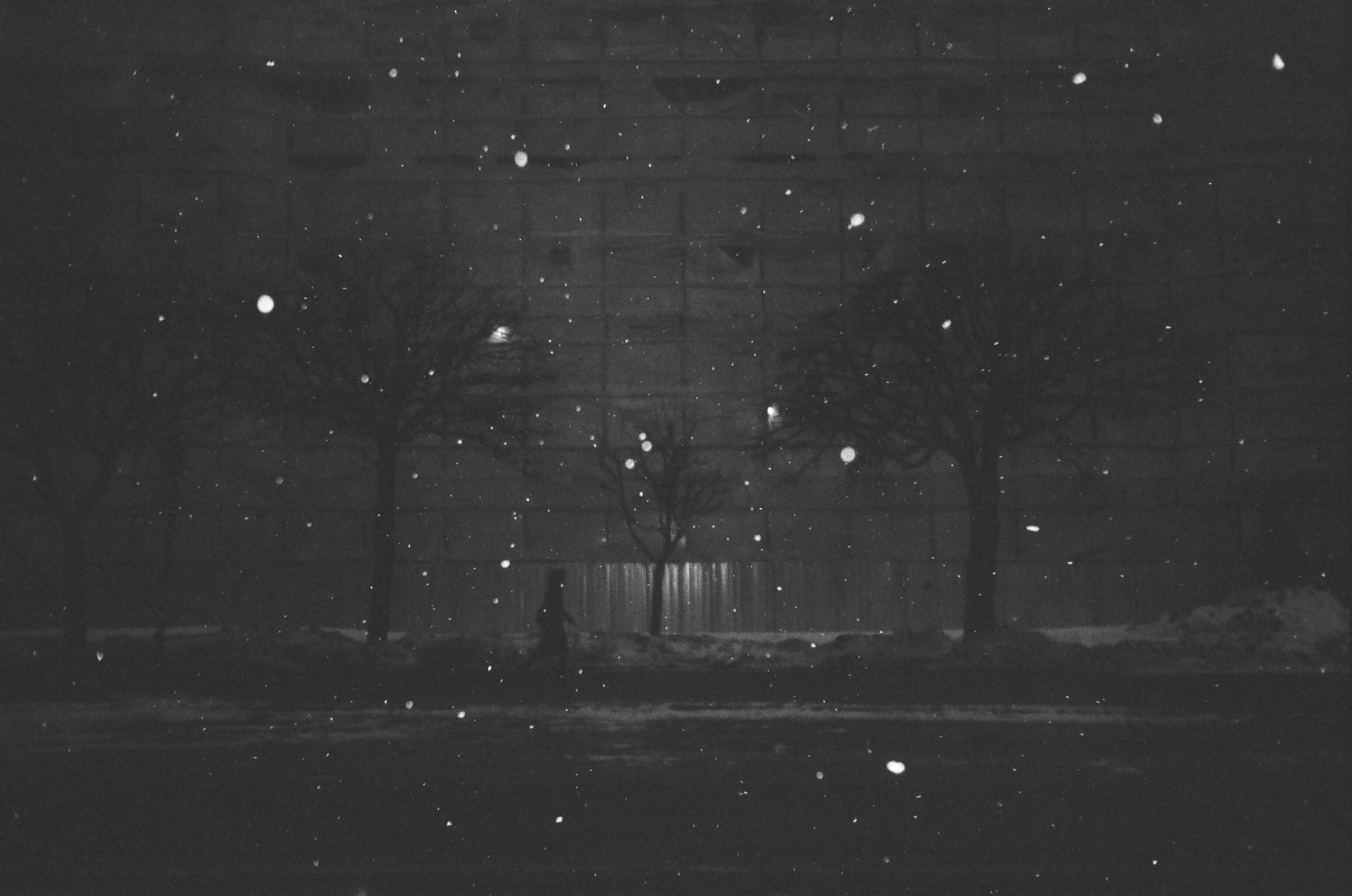 Fall '22. Pavlov Arts