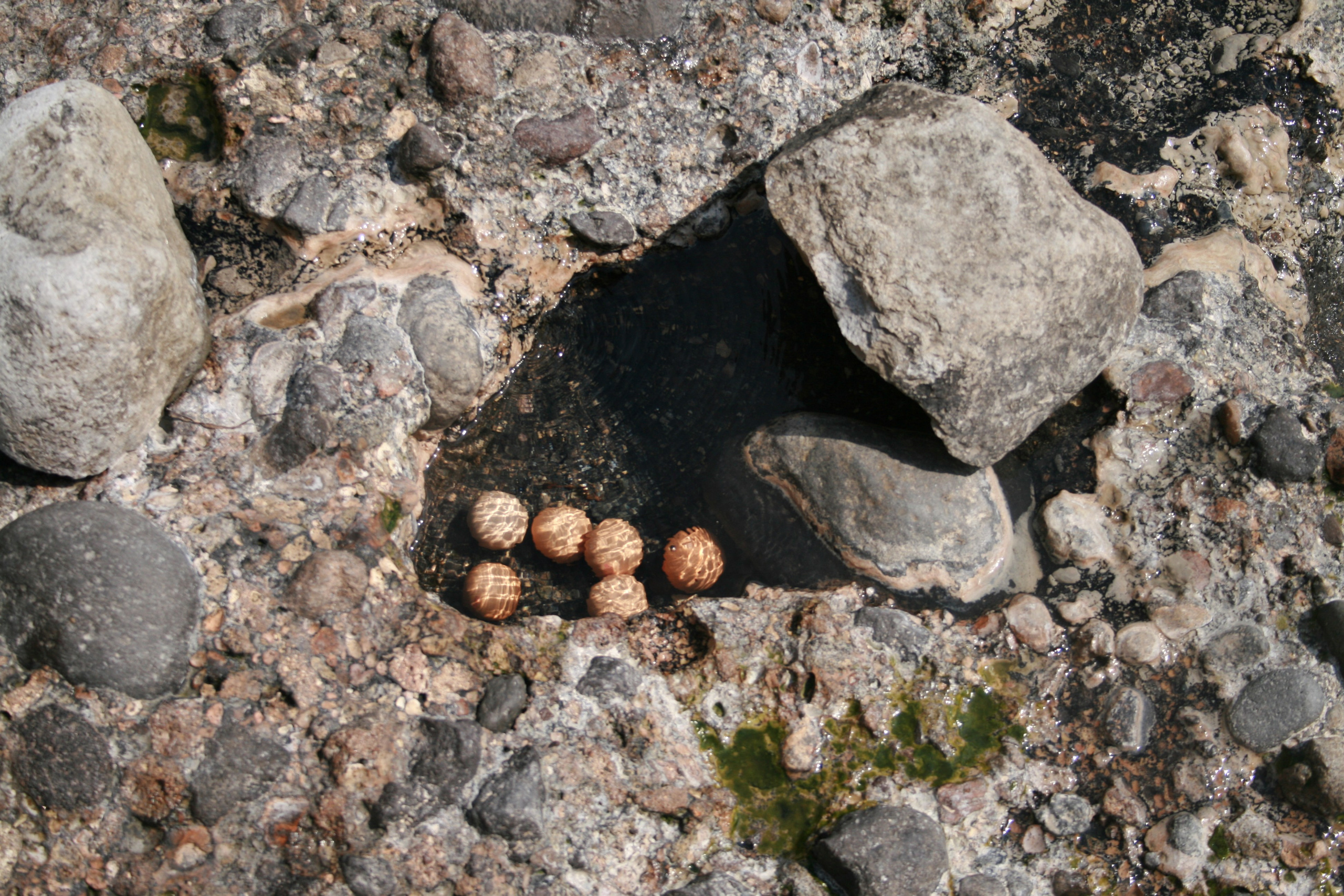 ИТАЛИЯ. Портретный и репортажный фотограф Наталья Горобец