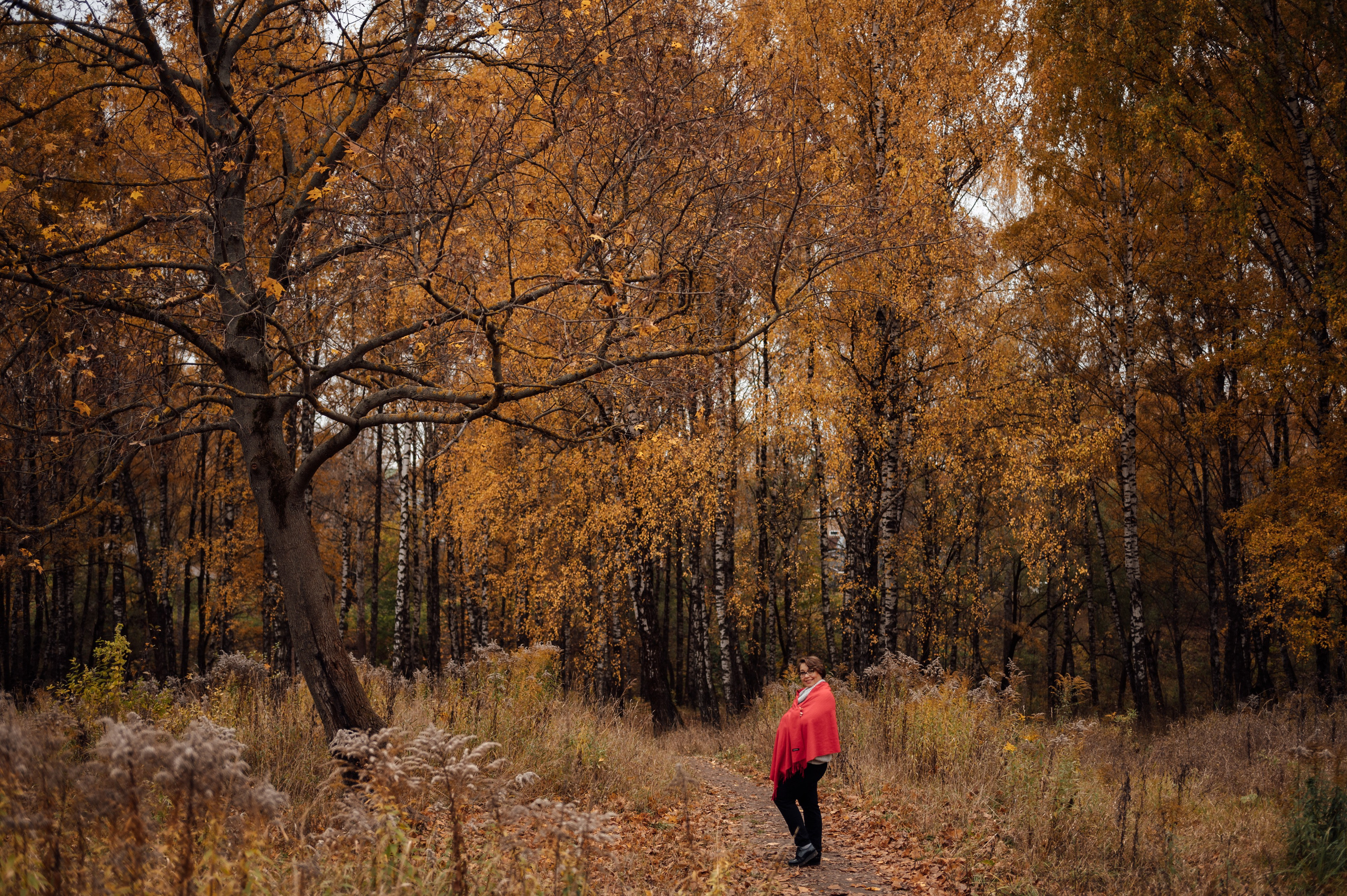 Осенние фотосессии в Туле. Портретный, семейный, свадебный фотограф. Бизнес, контент съёмка. Тула