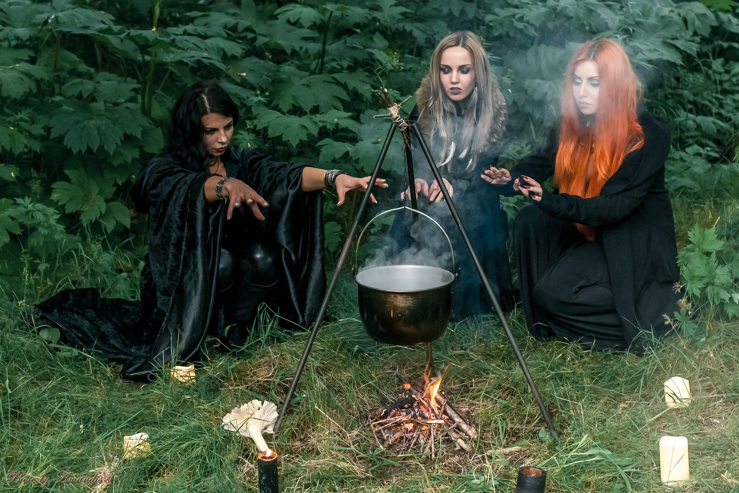 The witches. Репортажная съемка в Москве и области. Анималистика