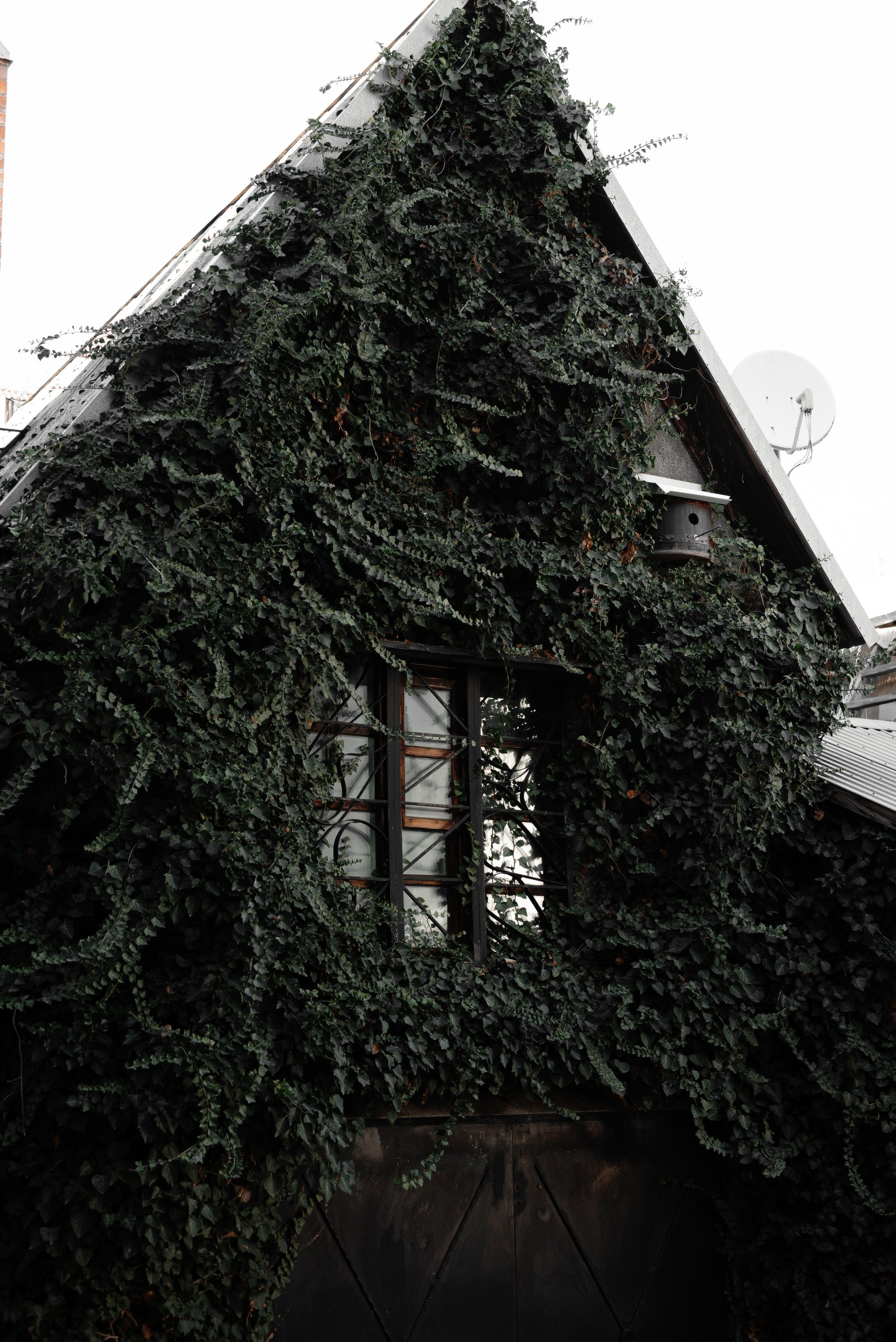 Фотосессия в горячем ключе. Свадебный фотограф в Горячем Ключе Смирнова Дина