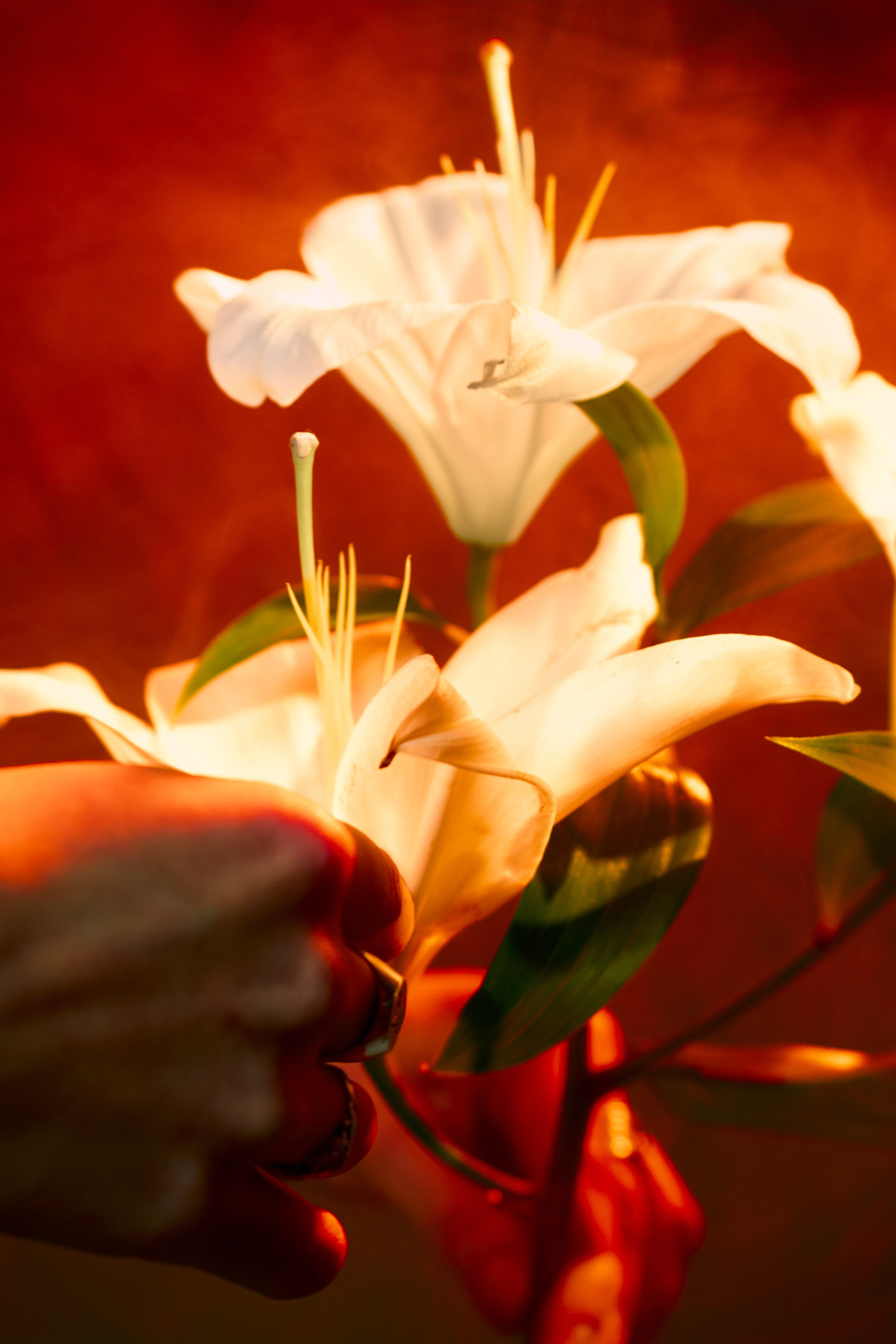 Nastya. Иван Глухих, портретный фотограф