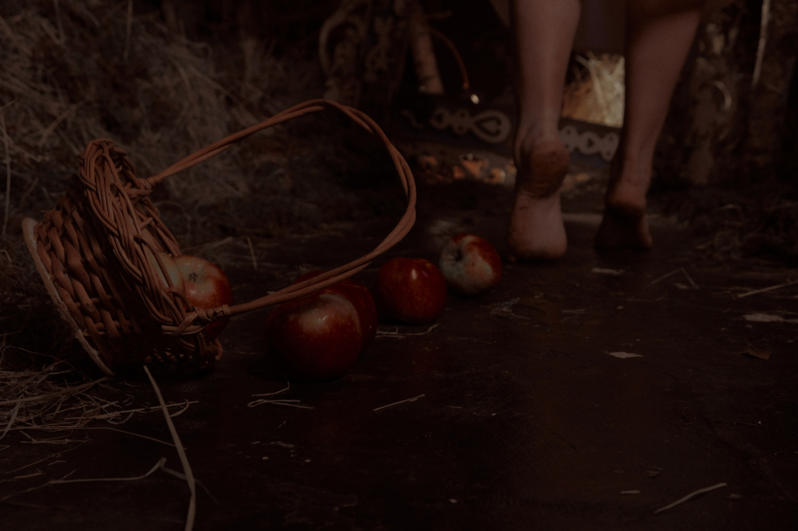 Гуси Лебеди. Фотограф Настя Лев